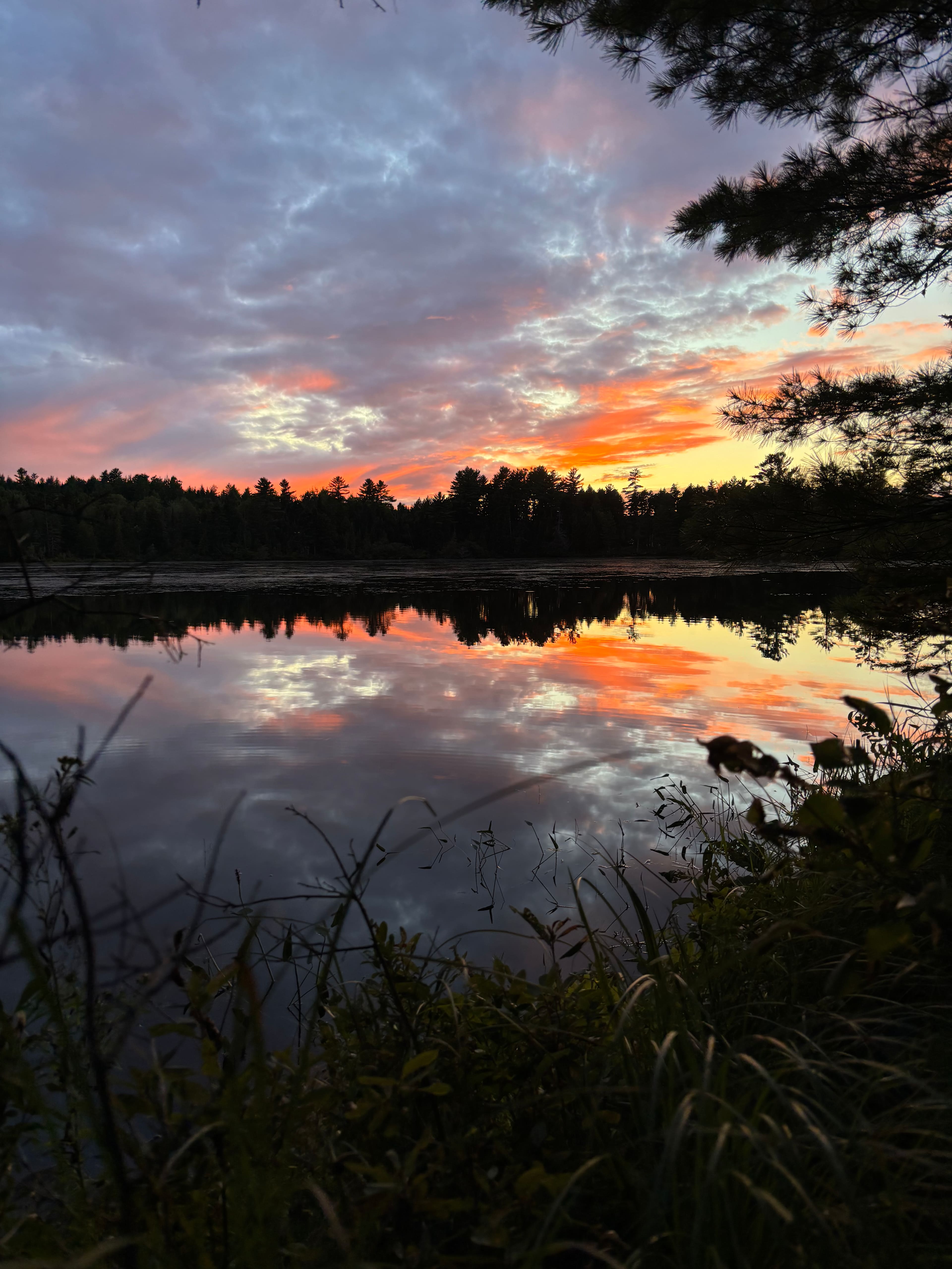 Evergreen Conservation Area