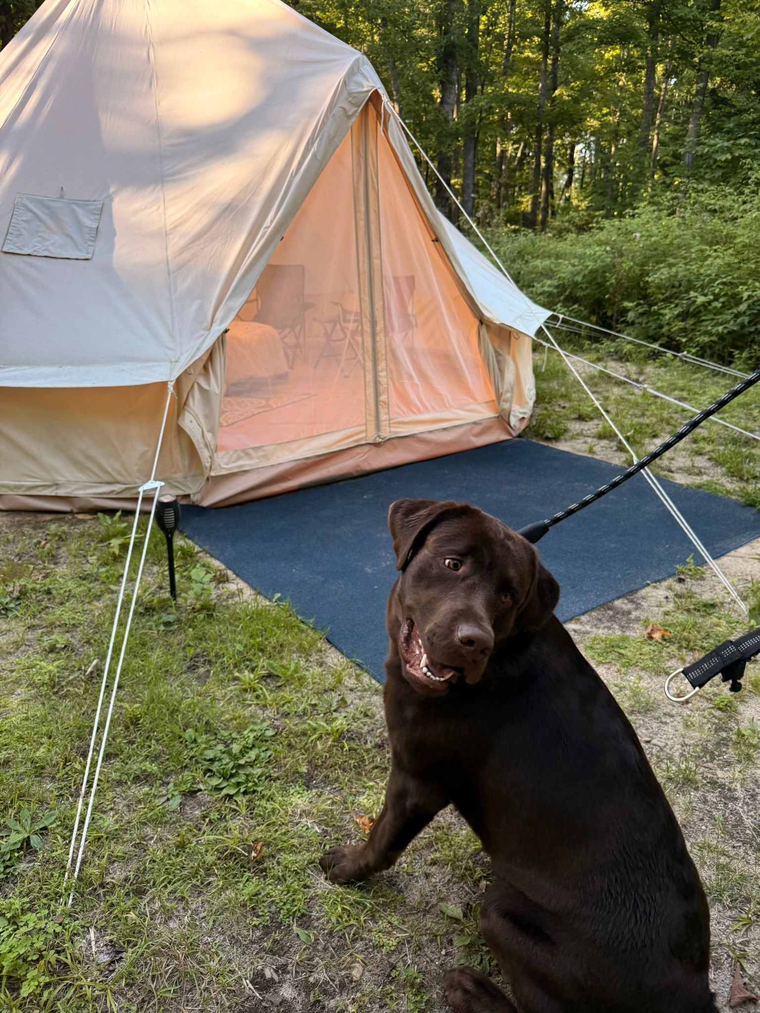 Elli's Lazy Days Resort & Campground