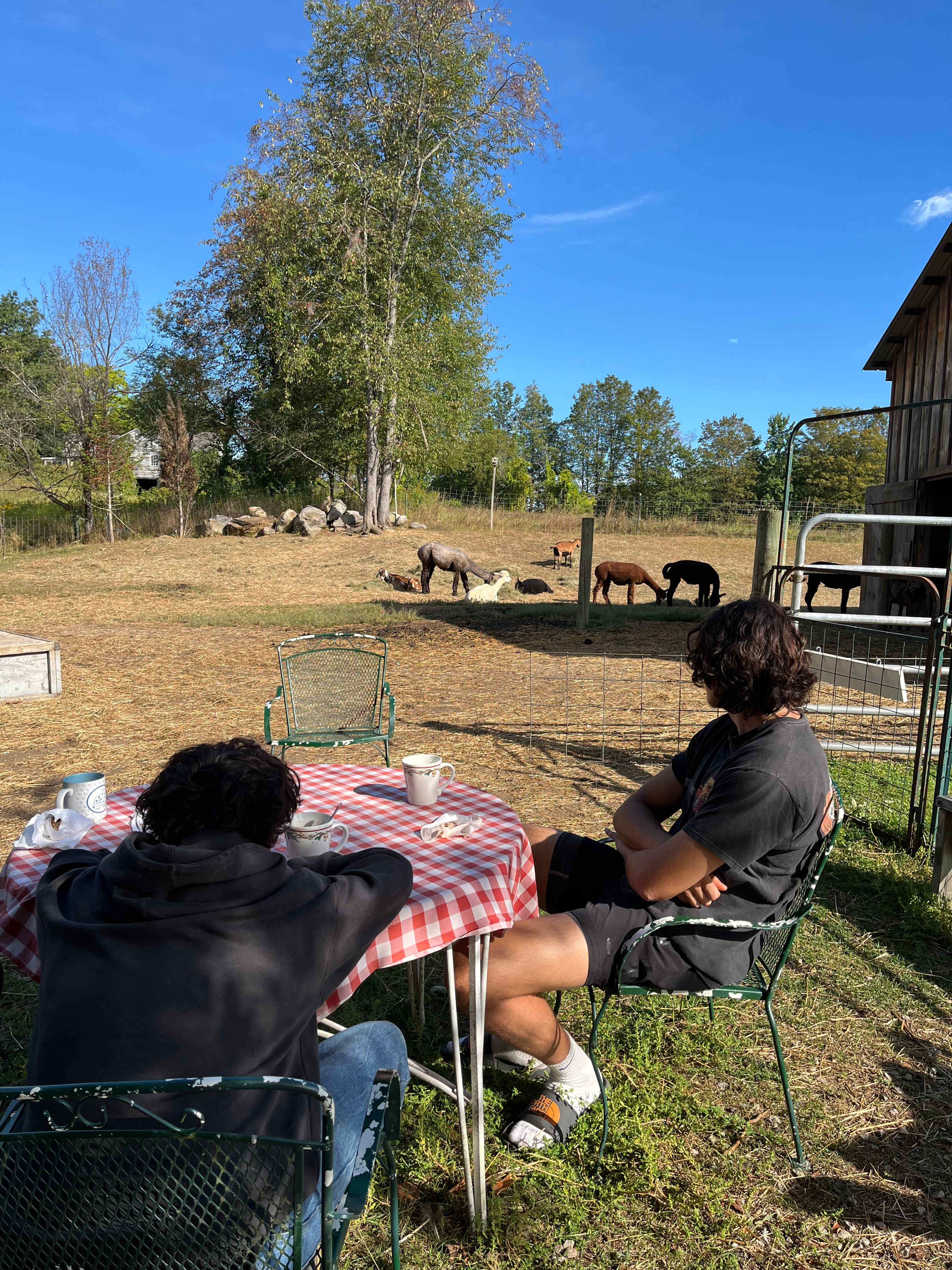 Someday Farm and Forest