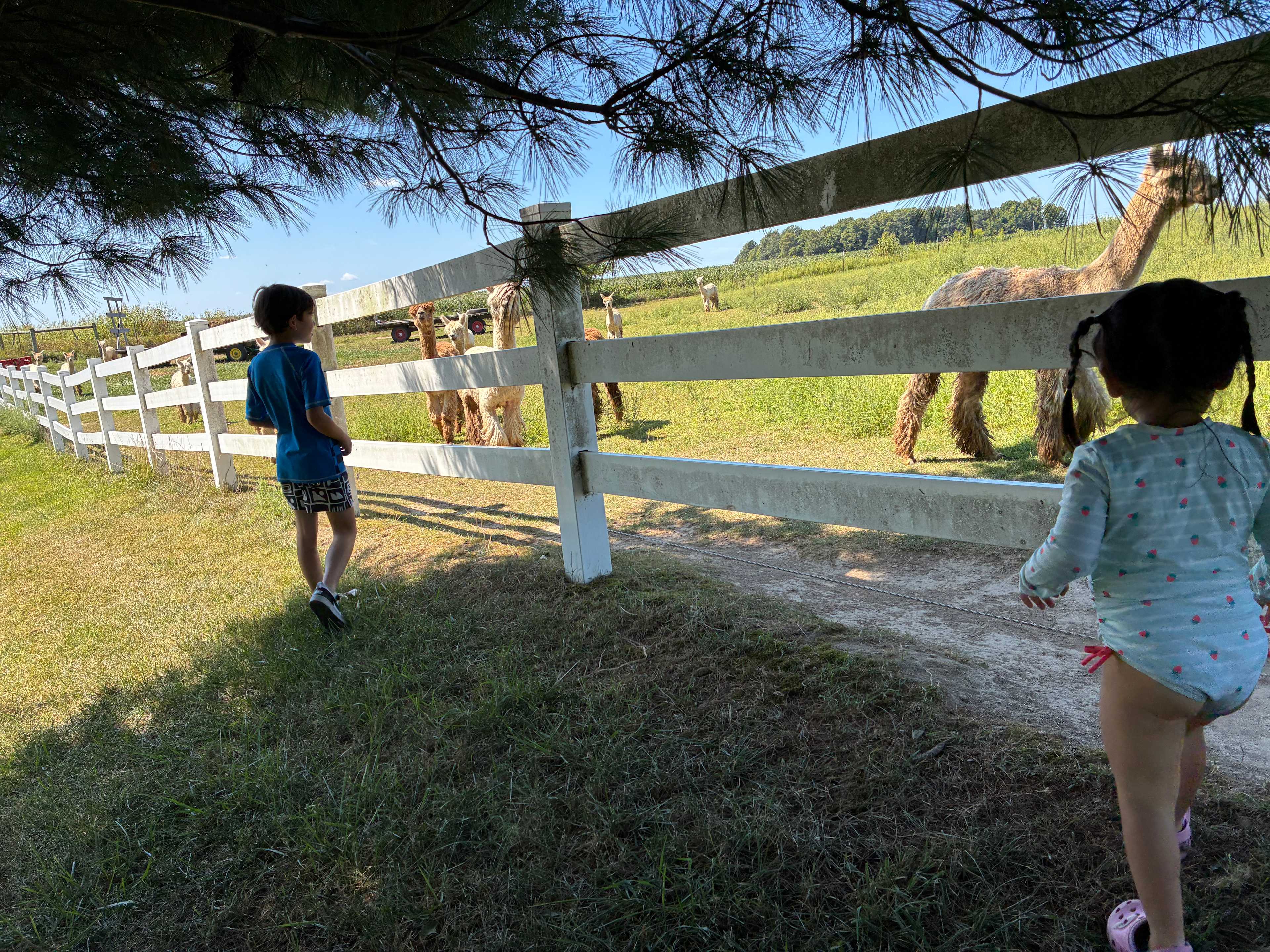 Heritage Farm Stay Adventure