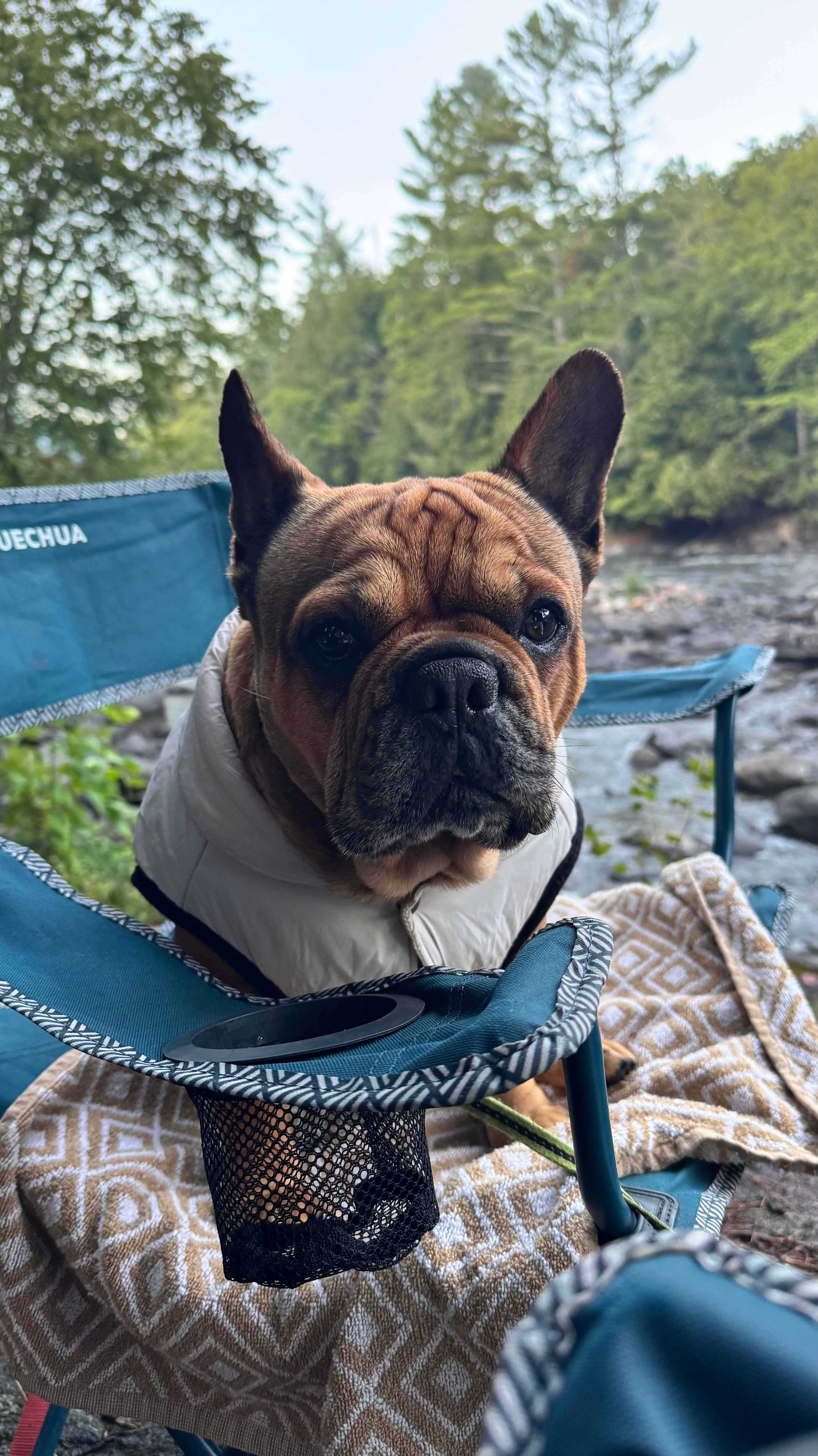 Domaine Lockbøw | Private Waterfall