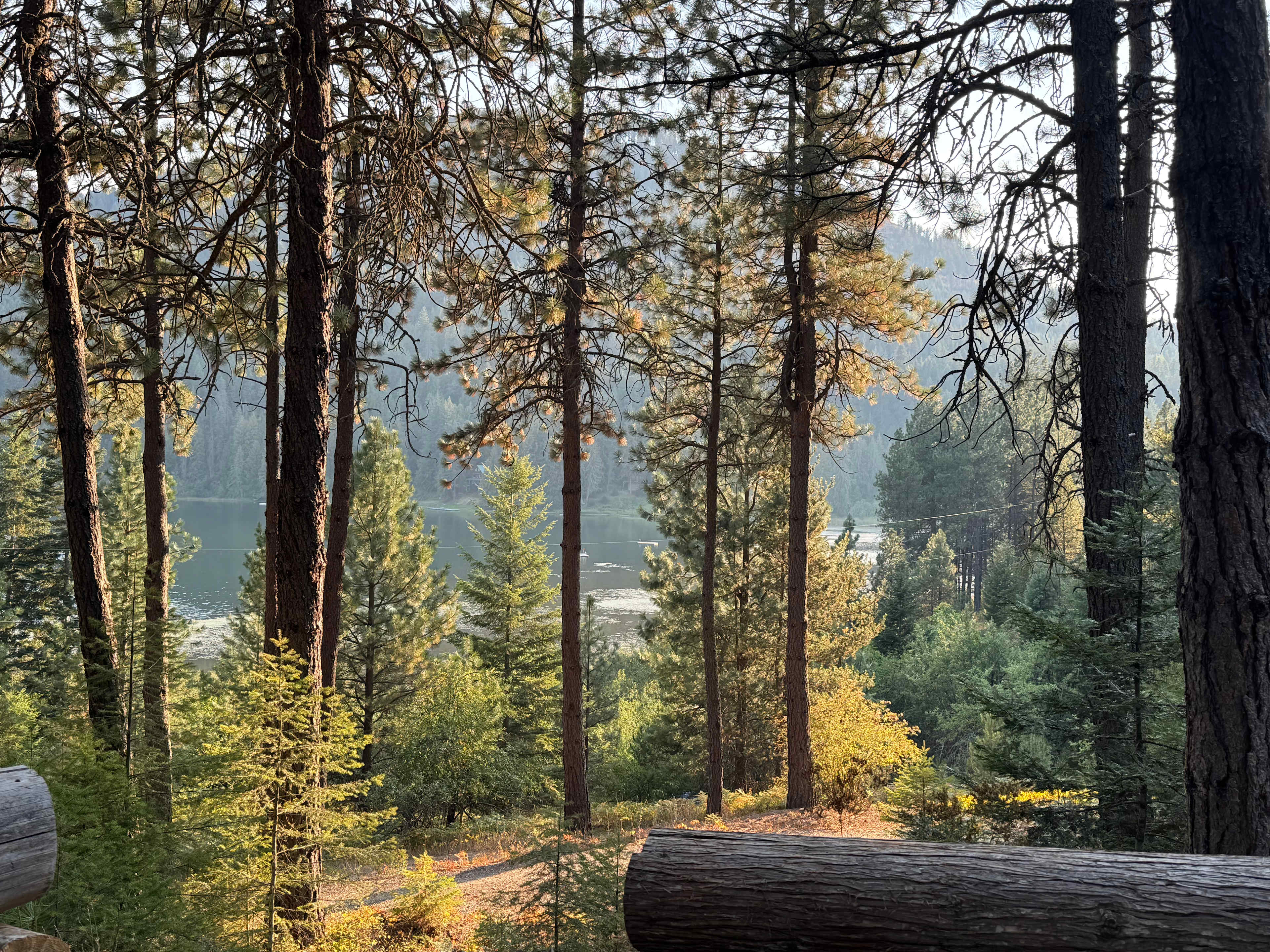 Paradise on Mirror Lake