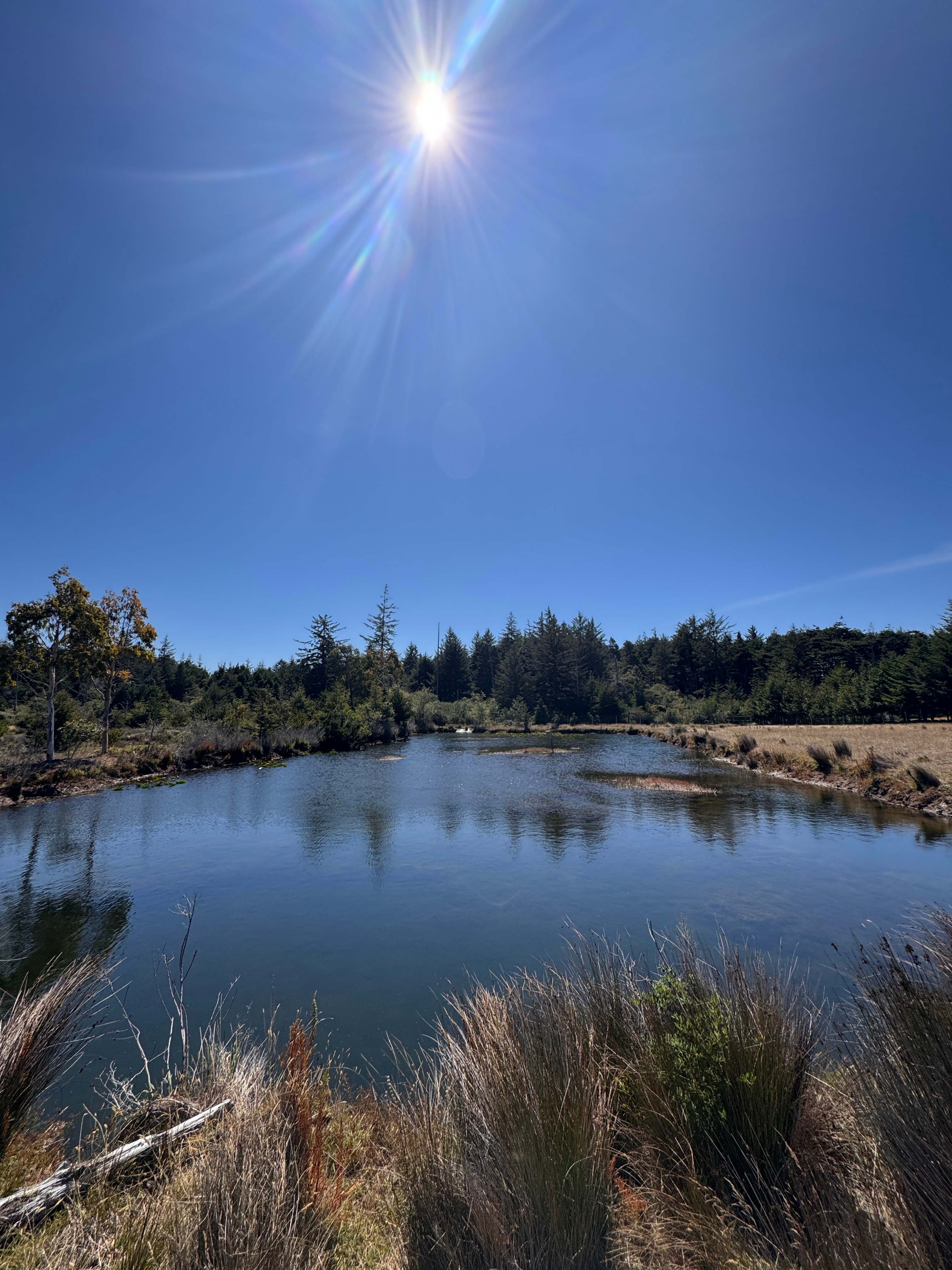 Walking the property 