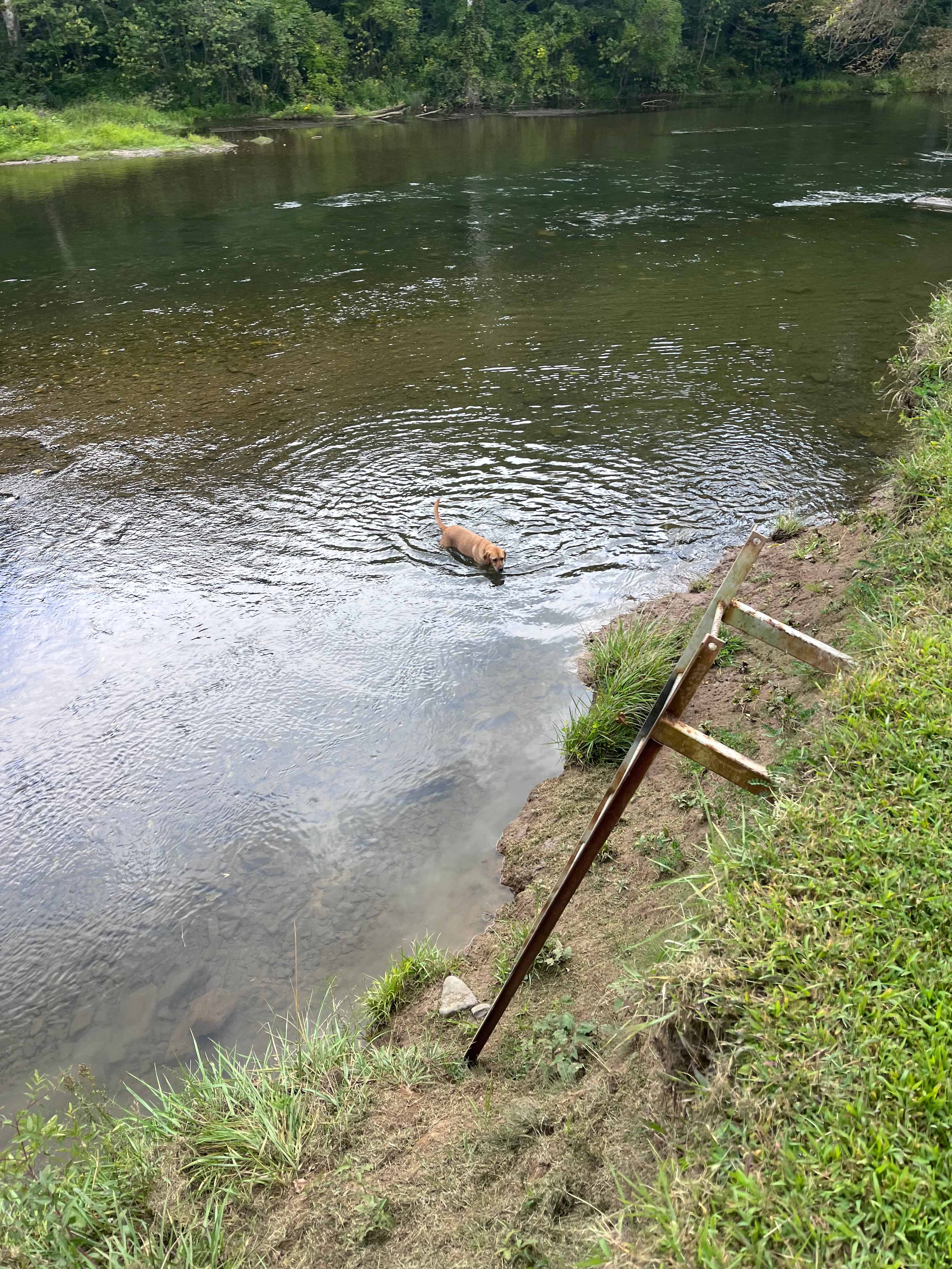 Shirley's River Retreat