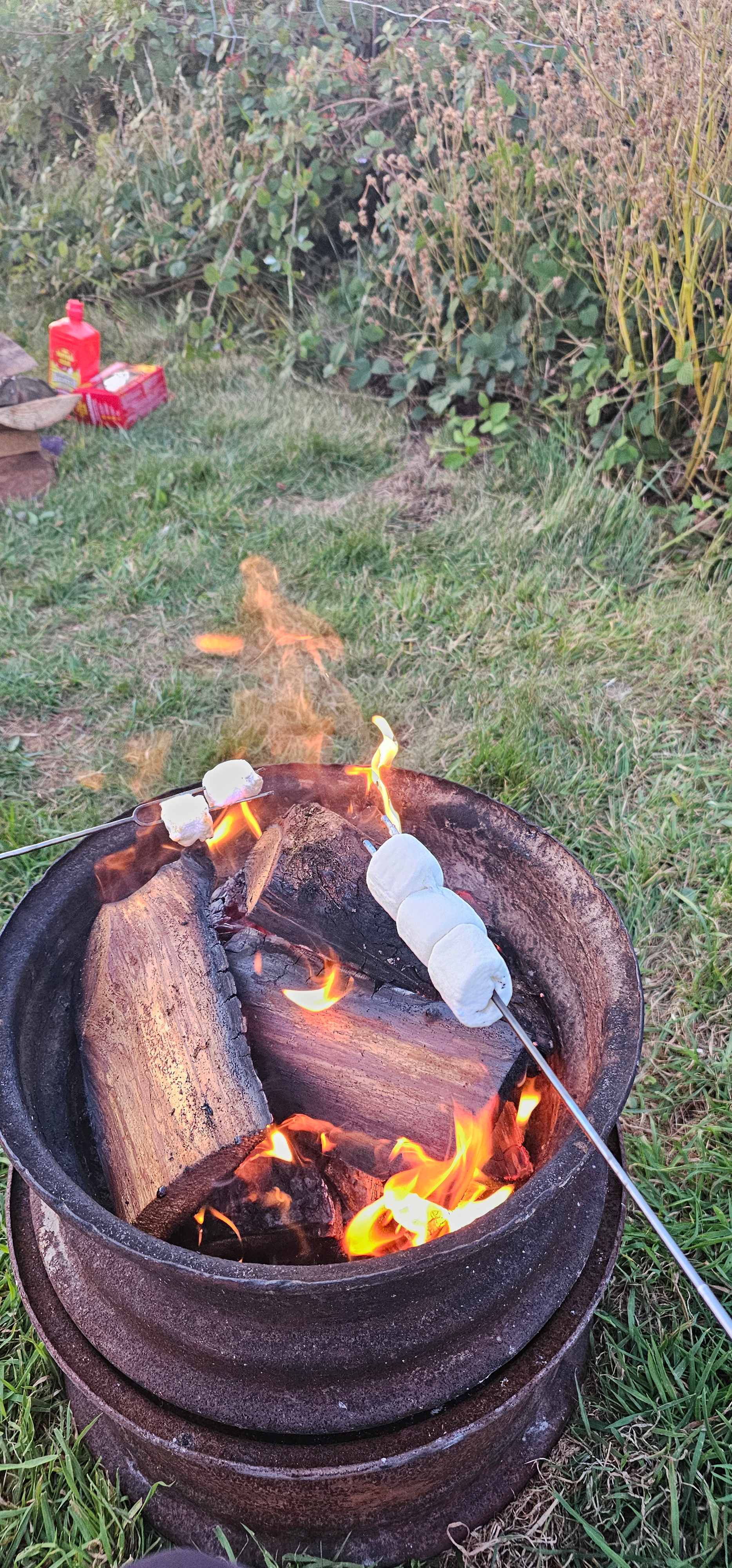 Fire pit for size reference. Kinda small for a group.