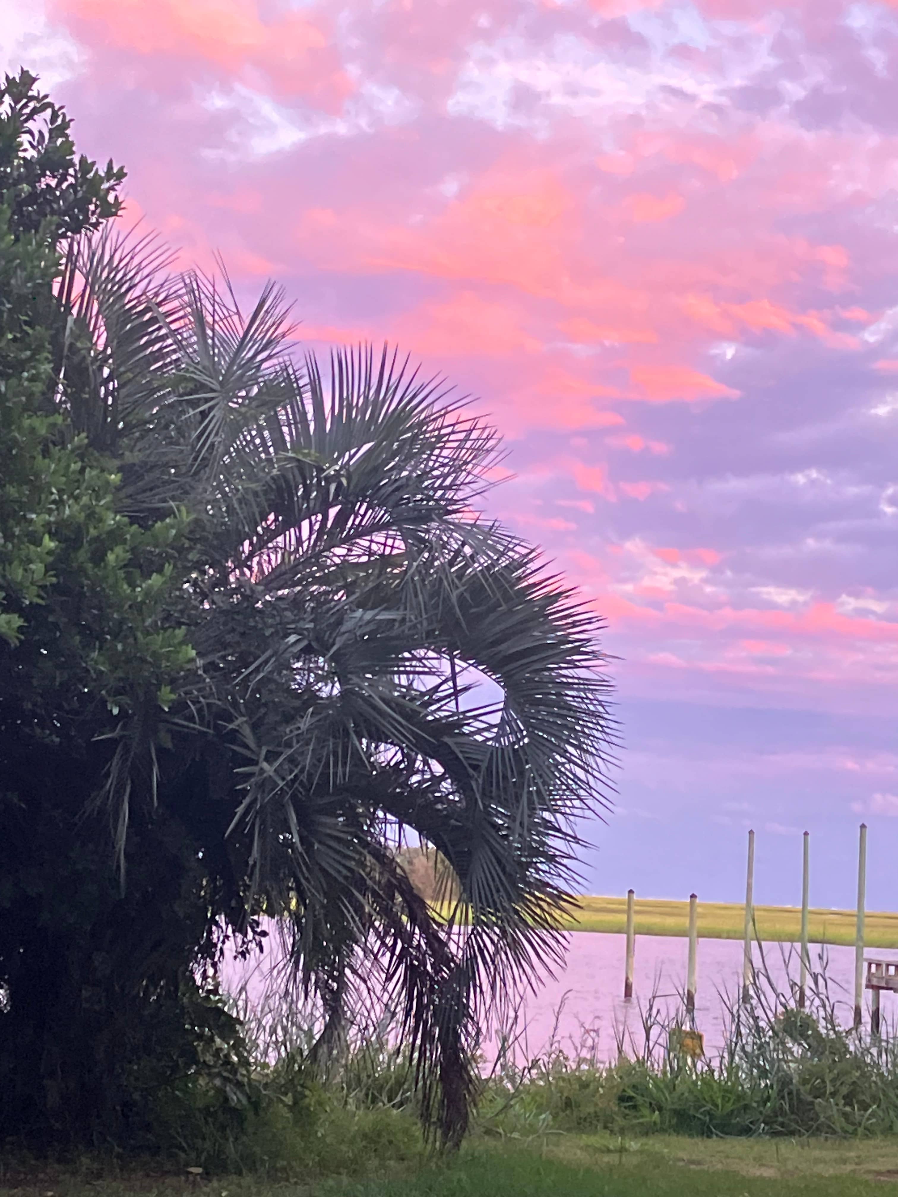 Ocean View Micro Farm