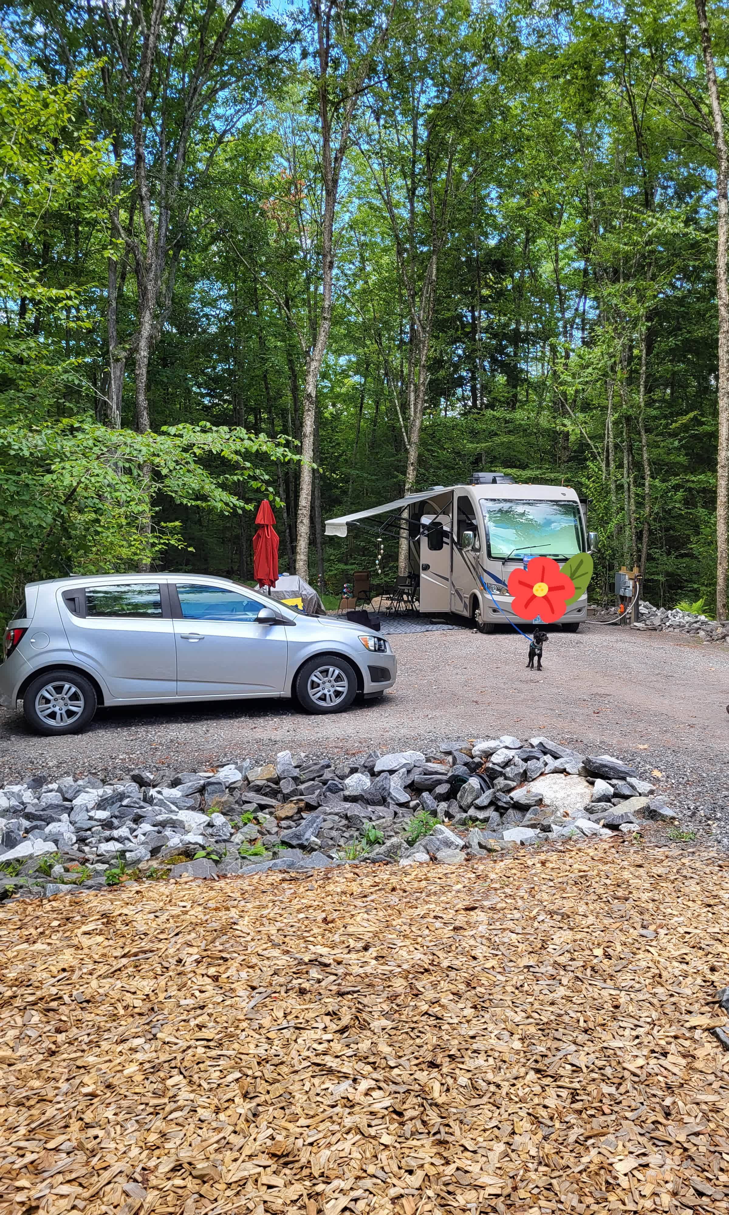 So cozy yet spacious