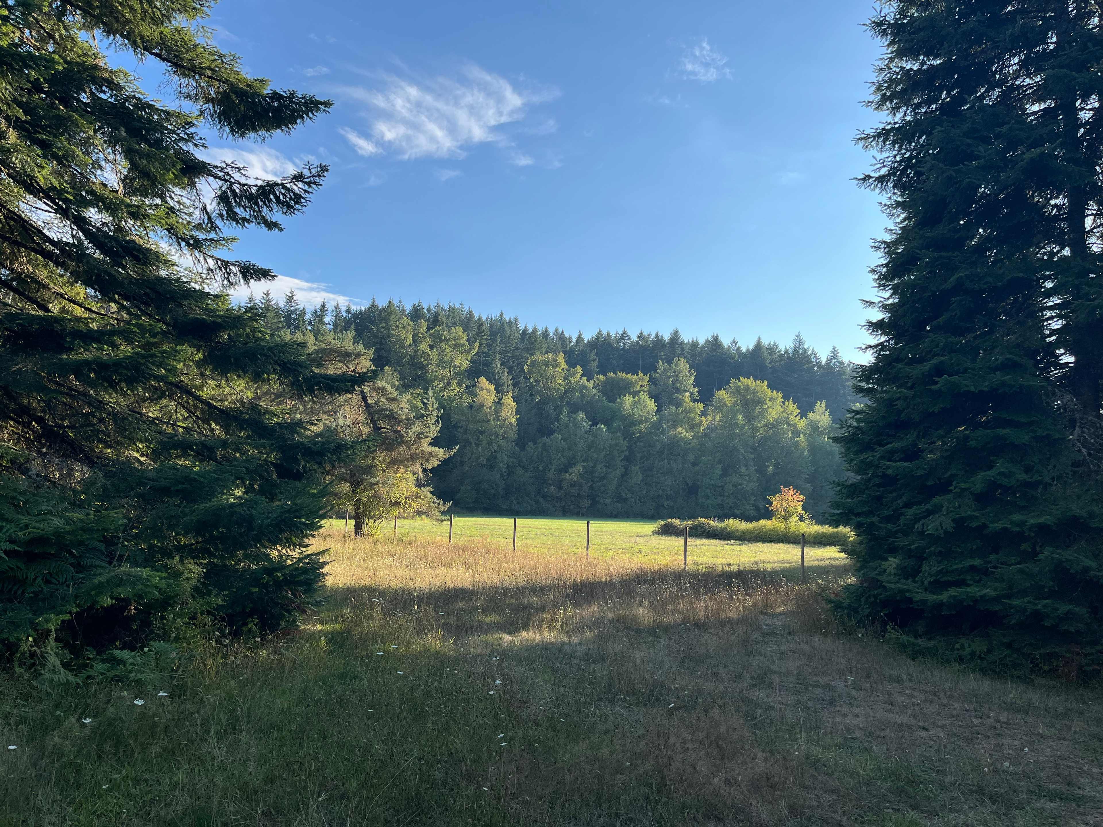 Dragons Gate Gardens & Wilds