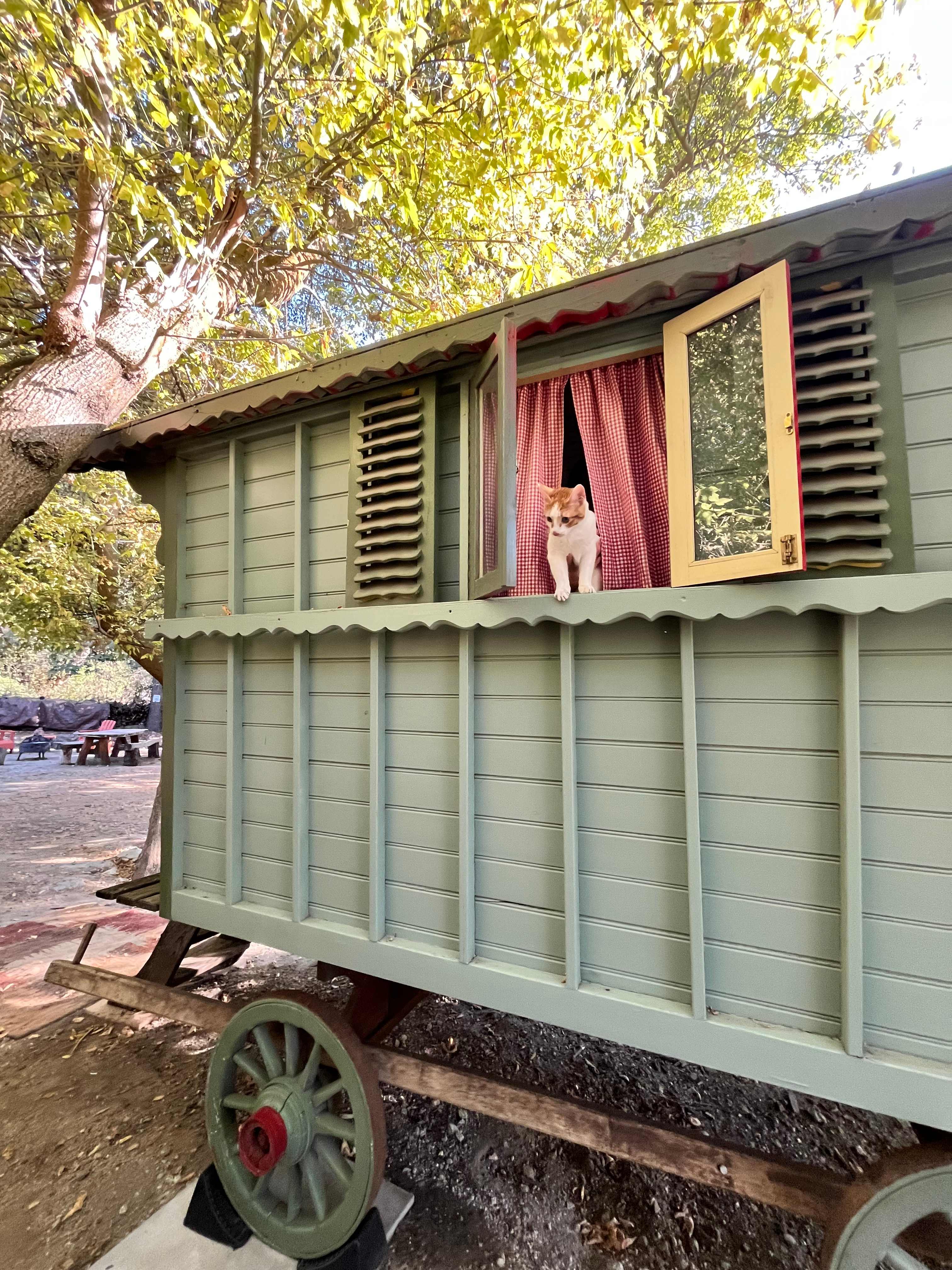 Oak Glen Glamping on Apple Orchard