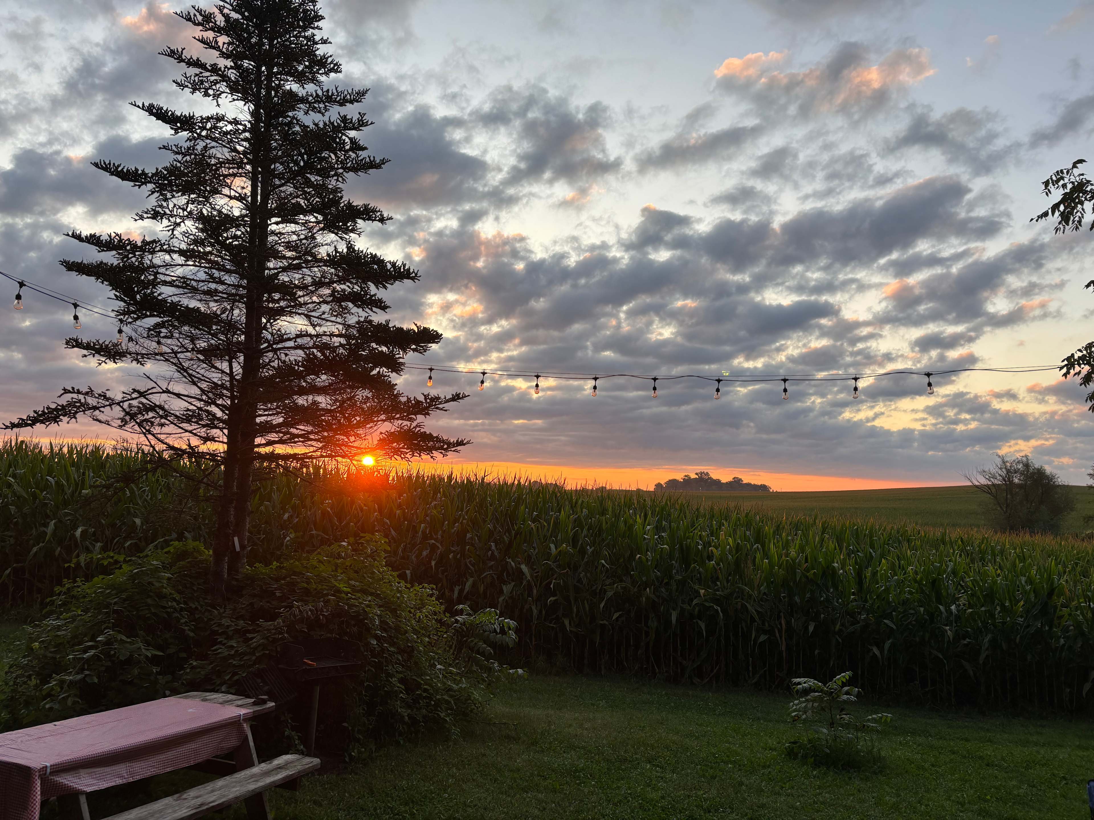Gorgeous sunrise from front porch