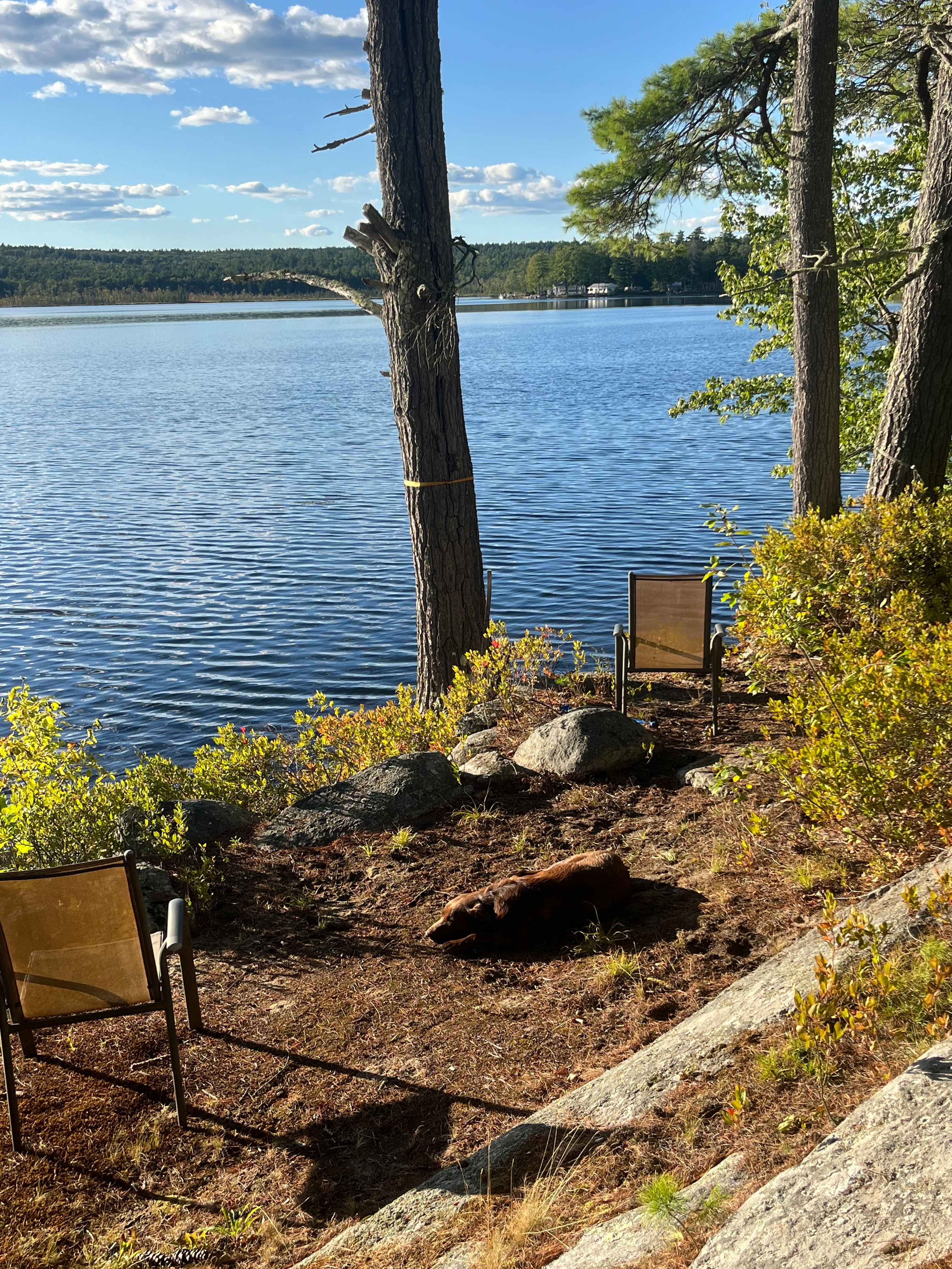 Sip Pond Lakefront Cottage