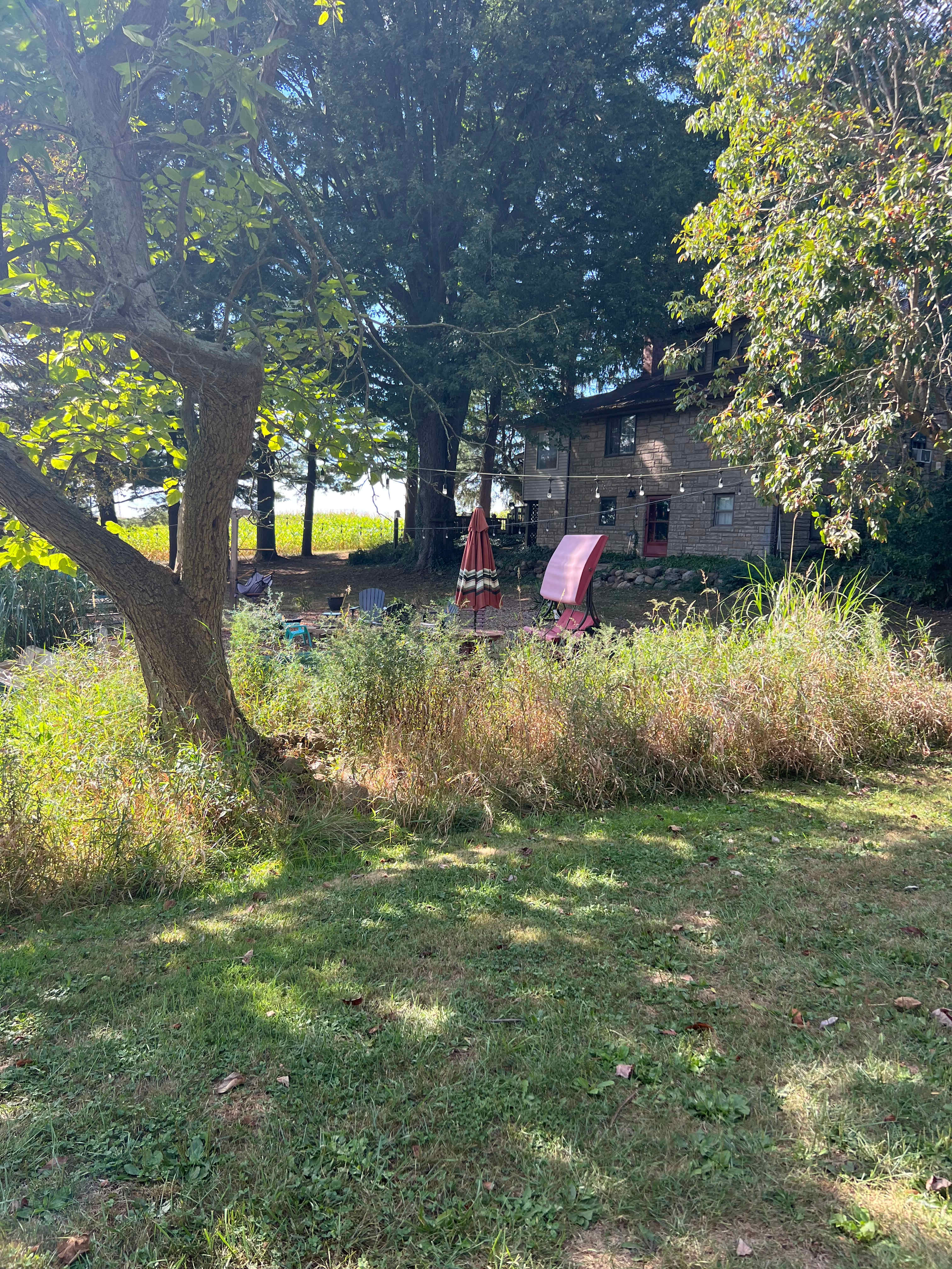 The Camp Cabin at the Hallstead