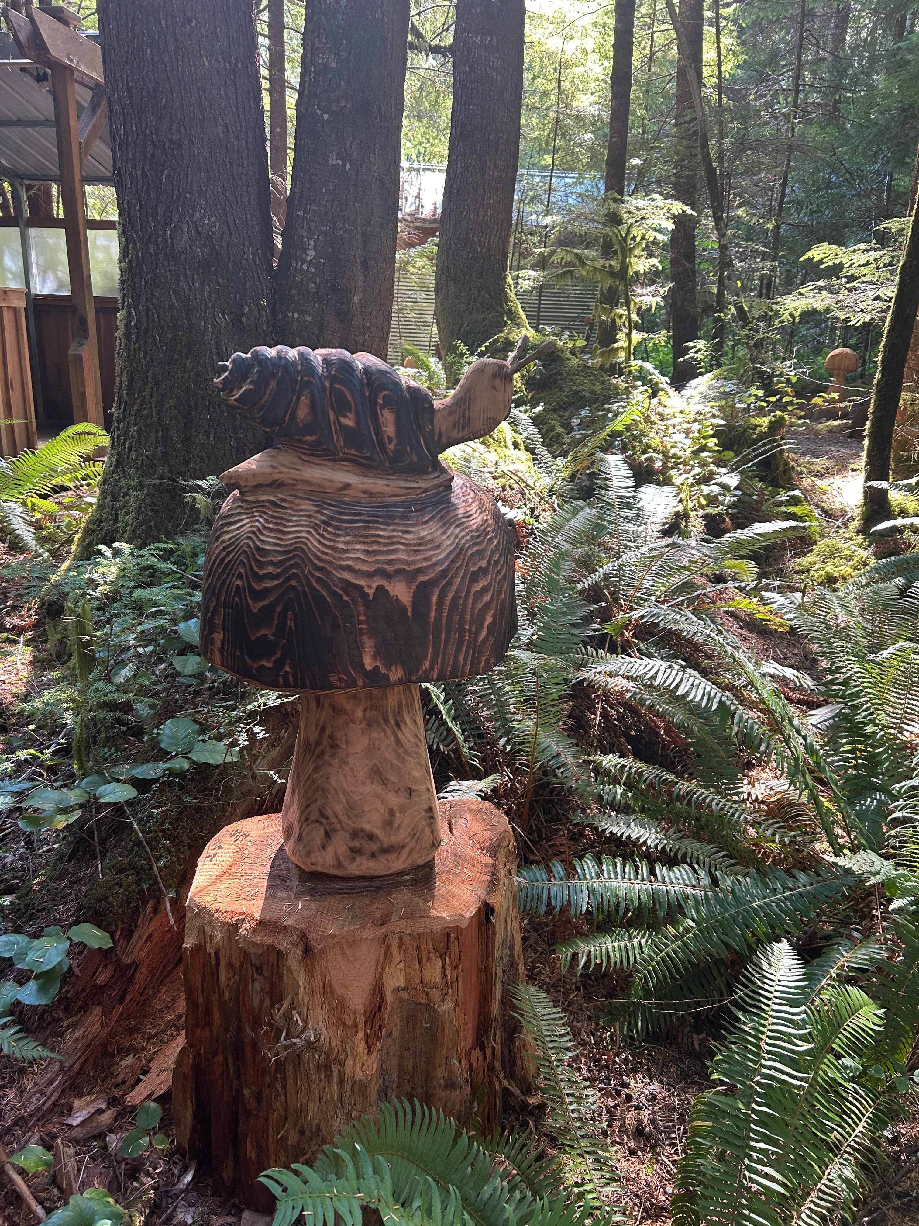 sol duc rainforest retreat