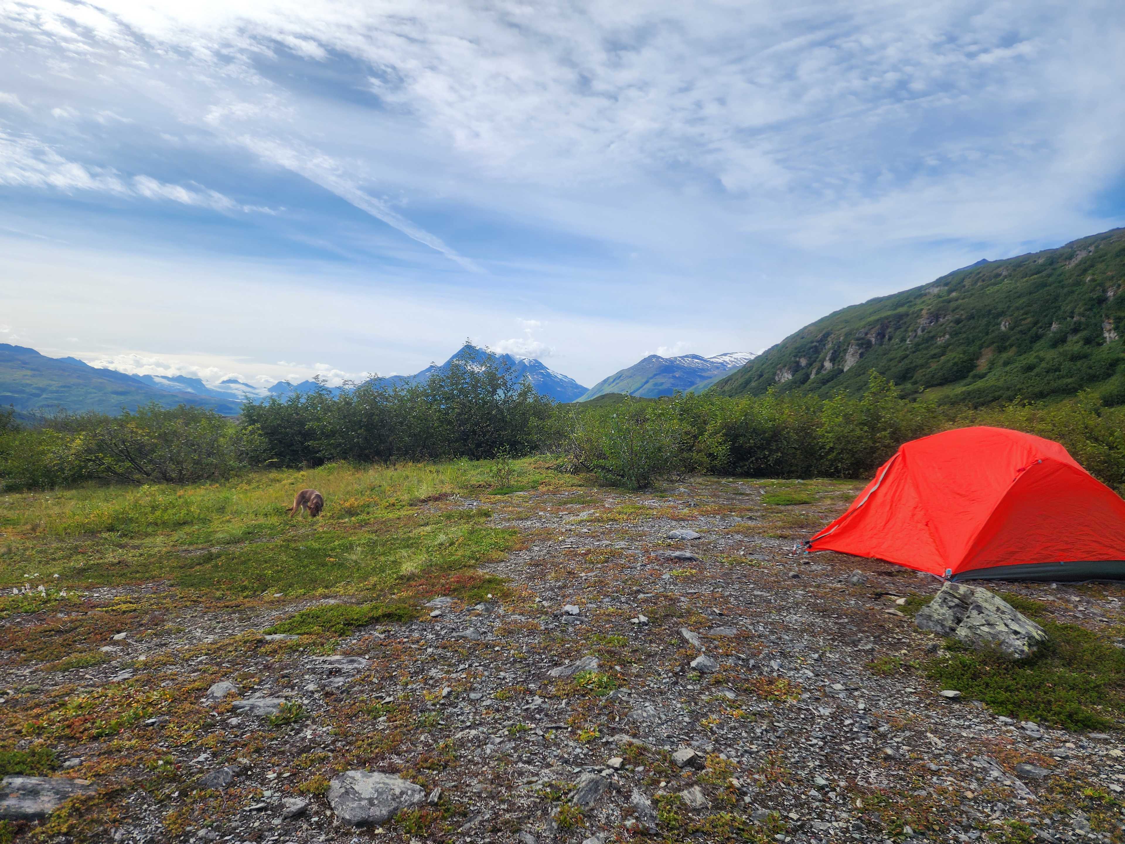 Valdez Adventure Alliance