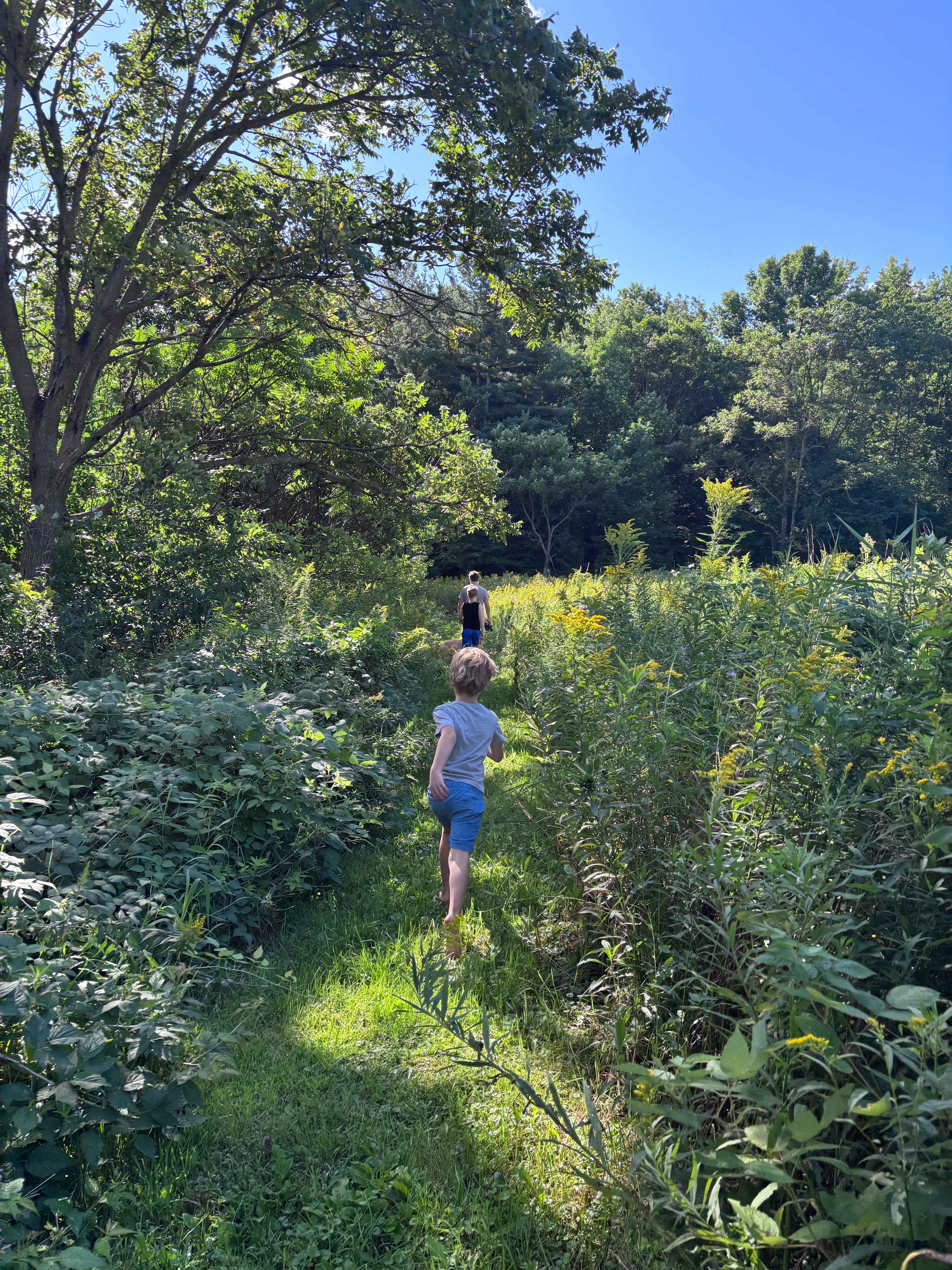 Many groomed trails to explore!