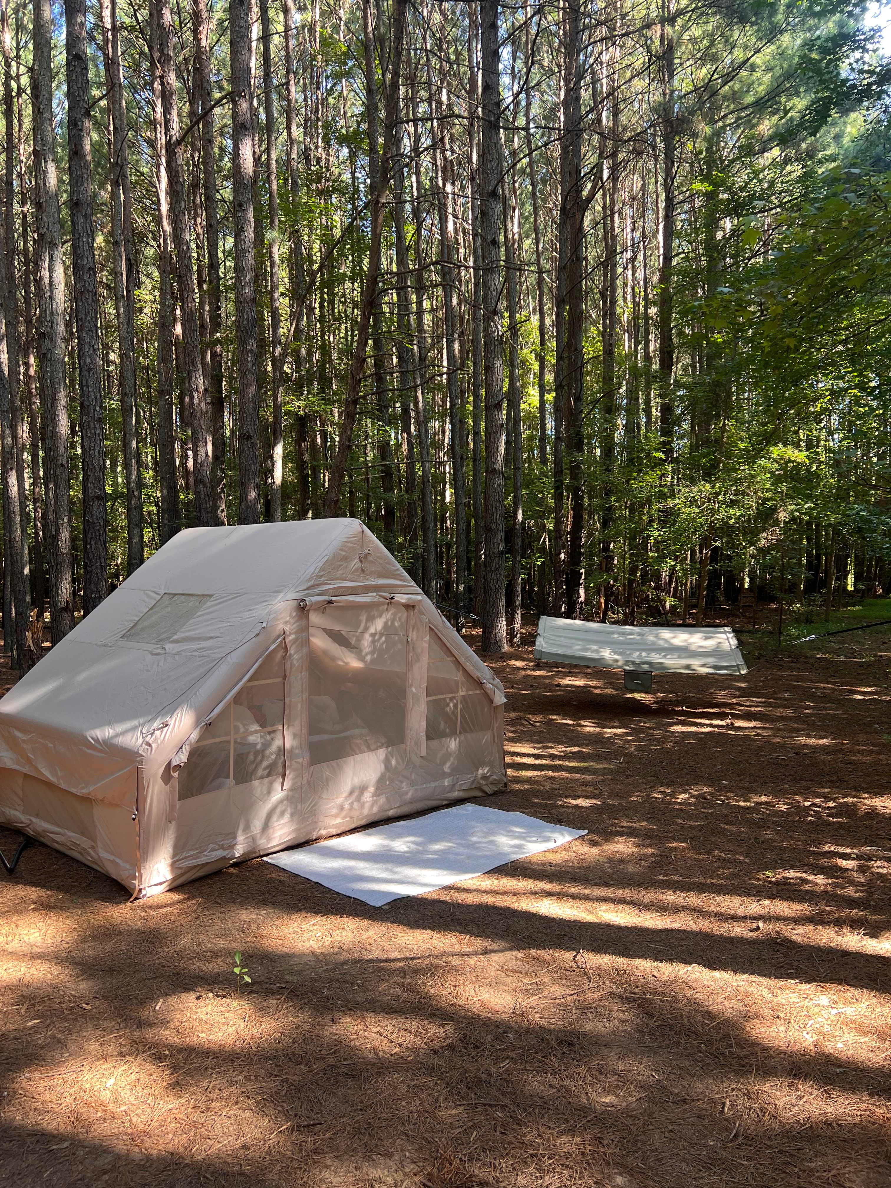 Rural Chapel Hill Forestry Stay