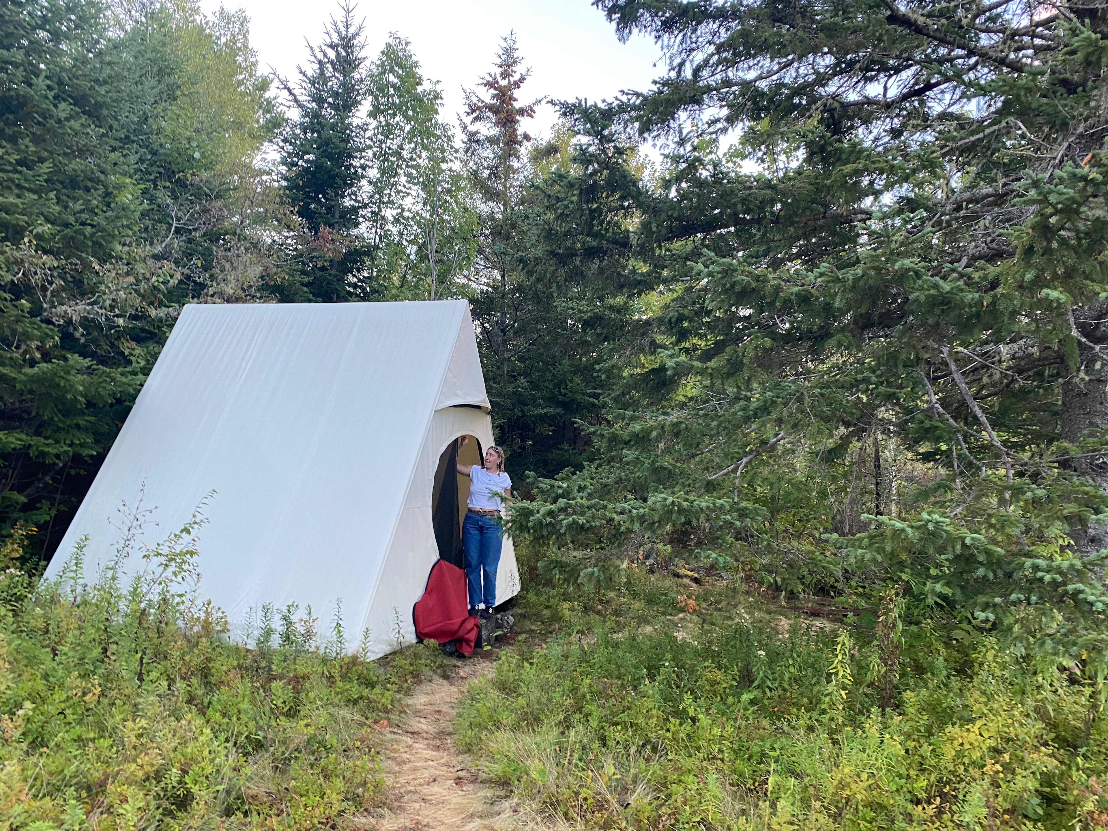 Blueberry Land Tent Platforms