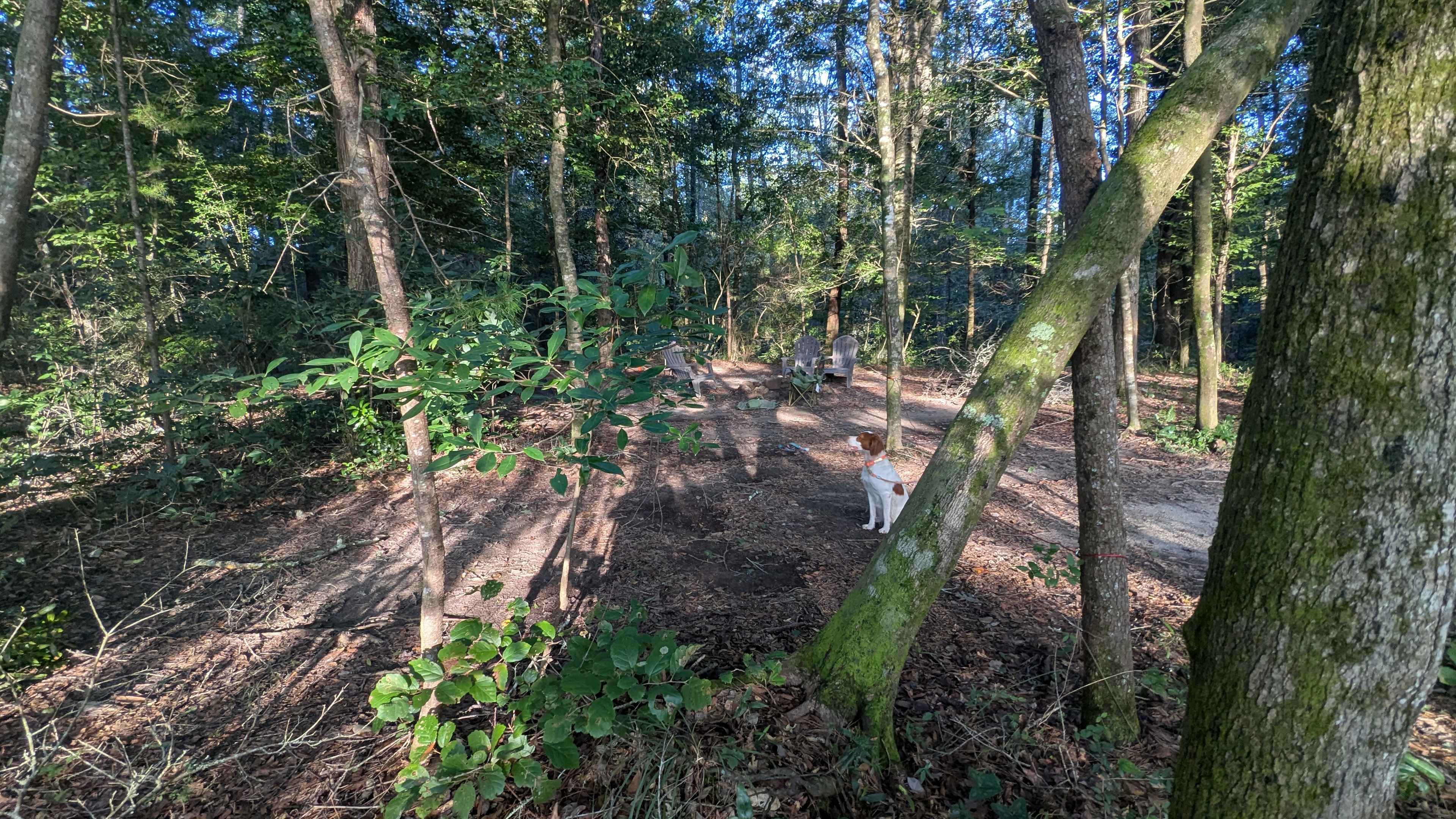 Camp Topisaw