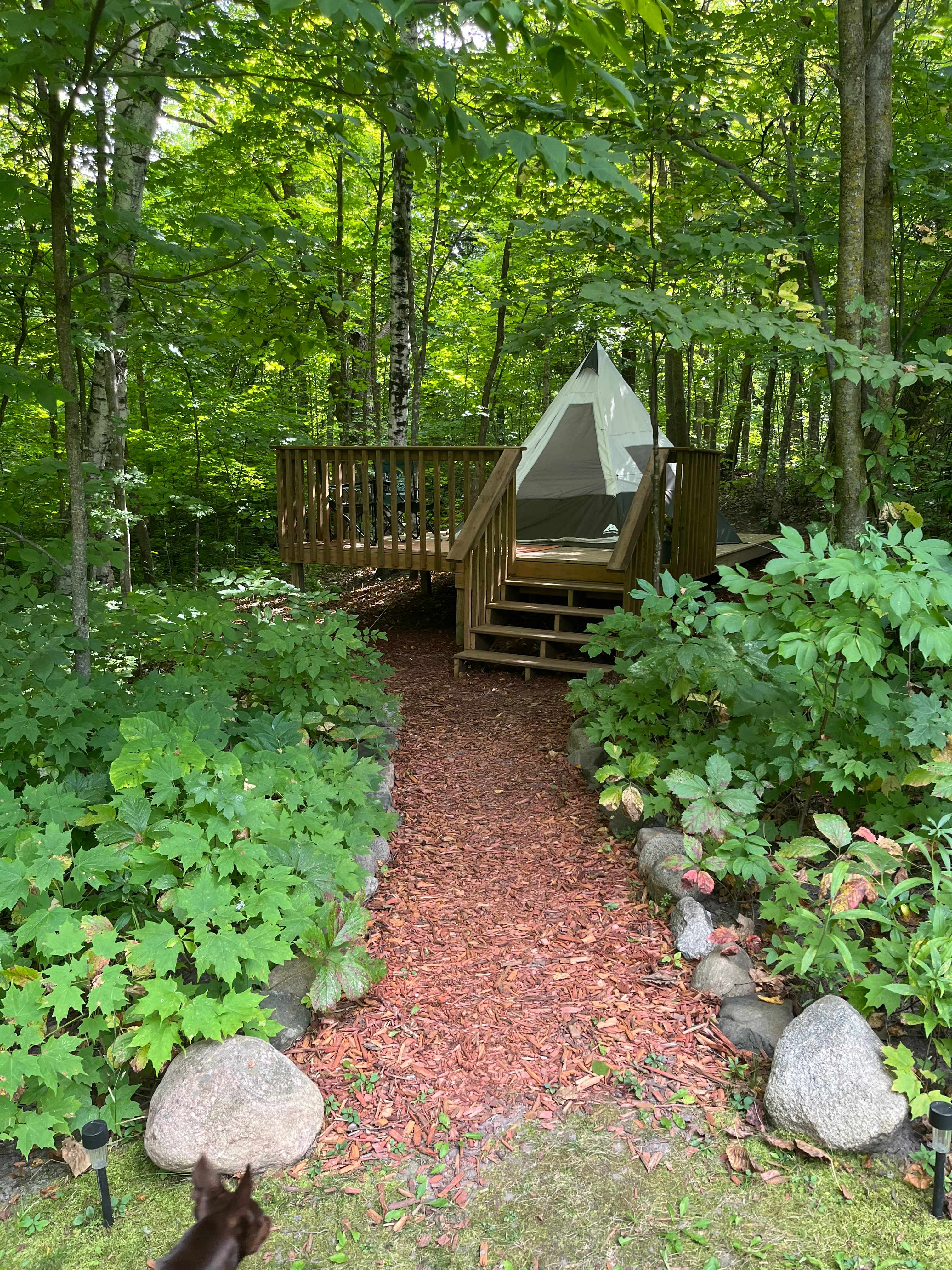 Tumbleweed Base Camp