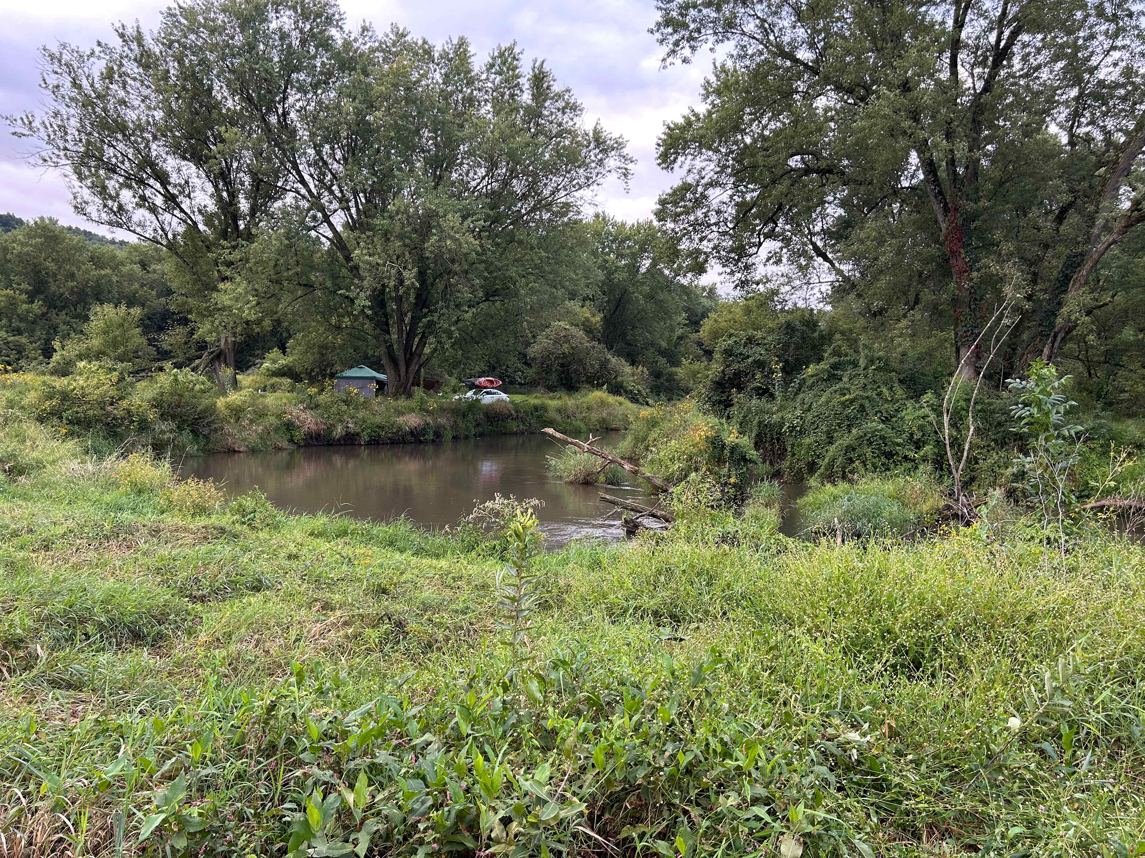 View of our site from a path down the river 