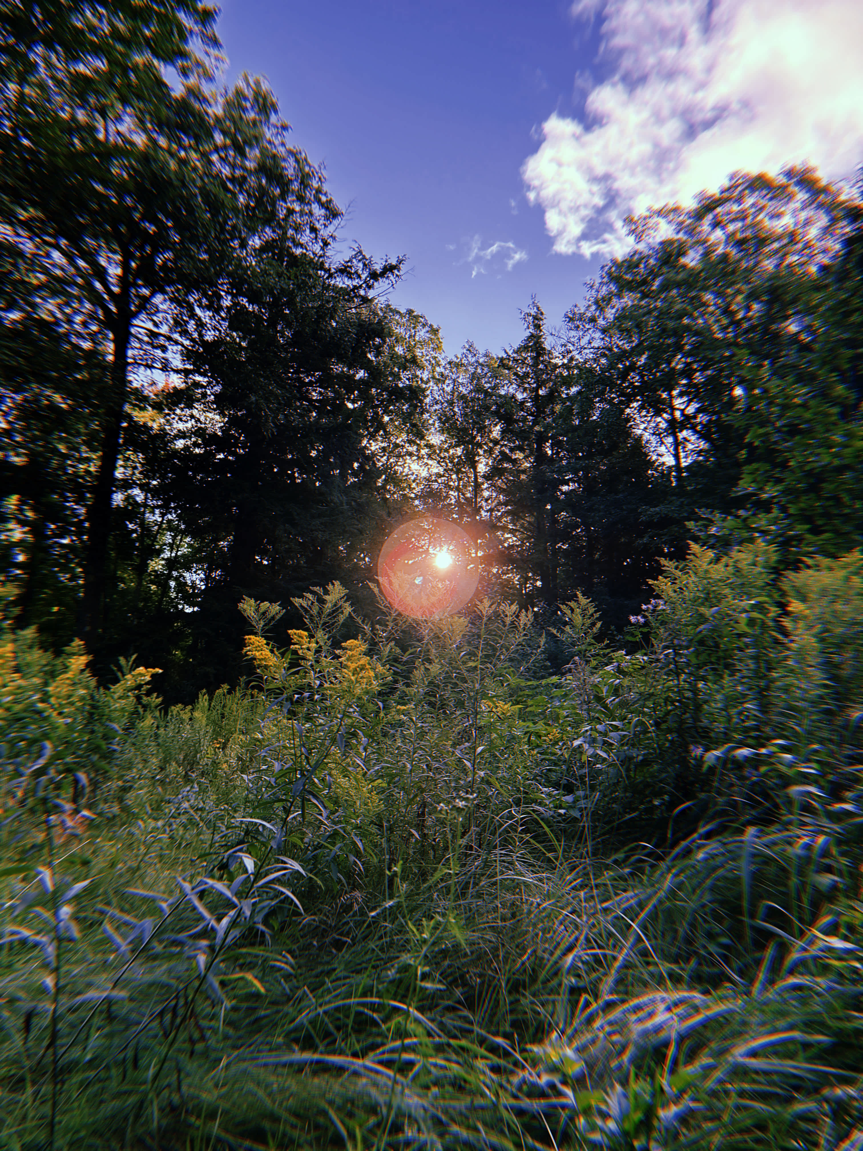 Hemlock Ridge Homestead