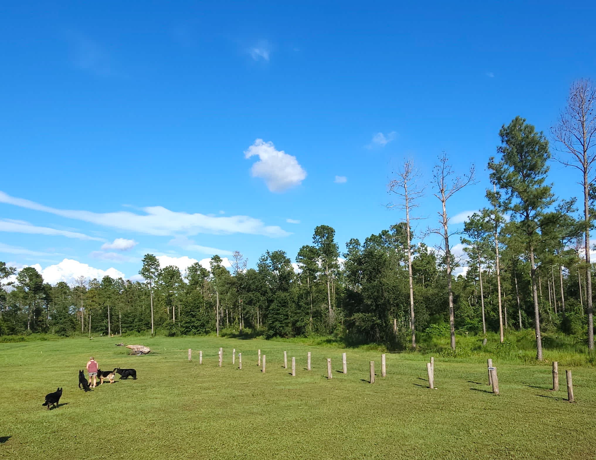 Looking Southwest, afternoon