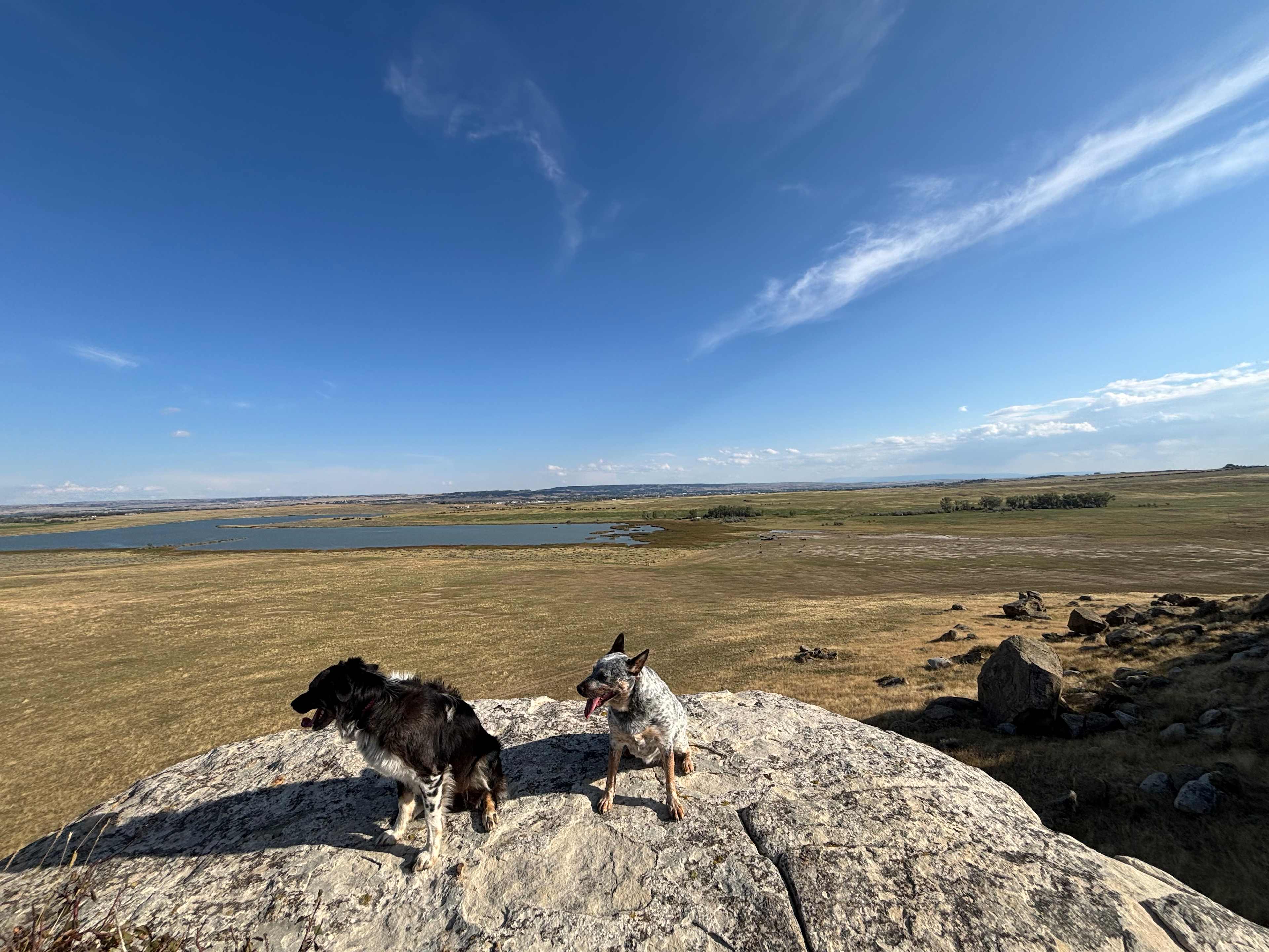Trees, Lake view, Rock buttes!
