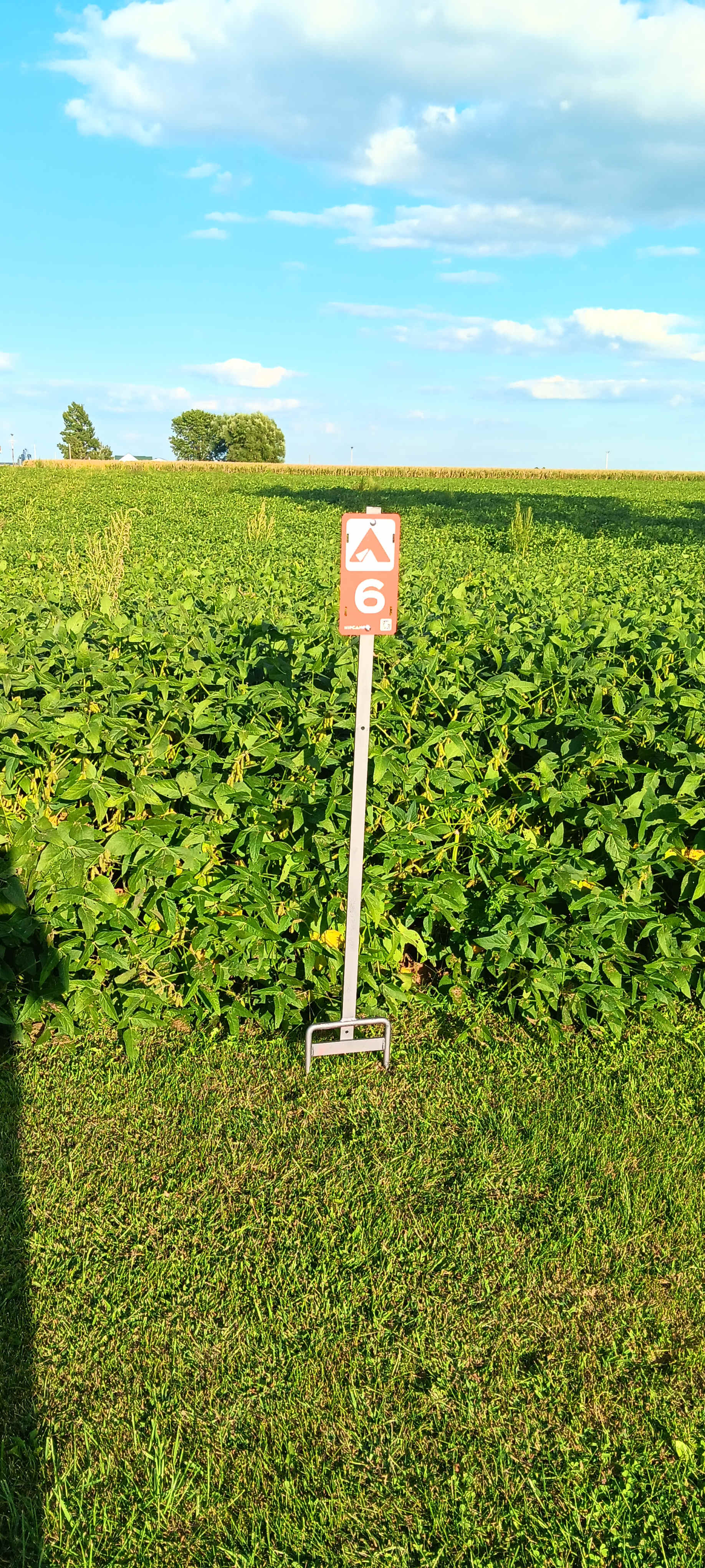 Bellinger's Liberty Acres