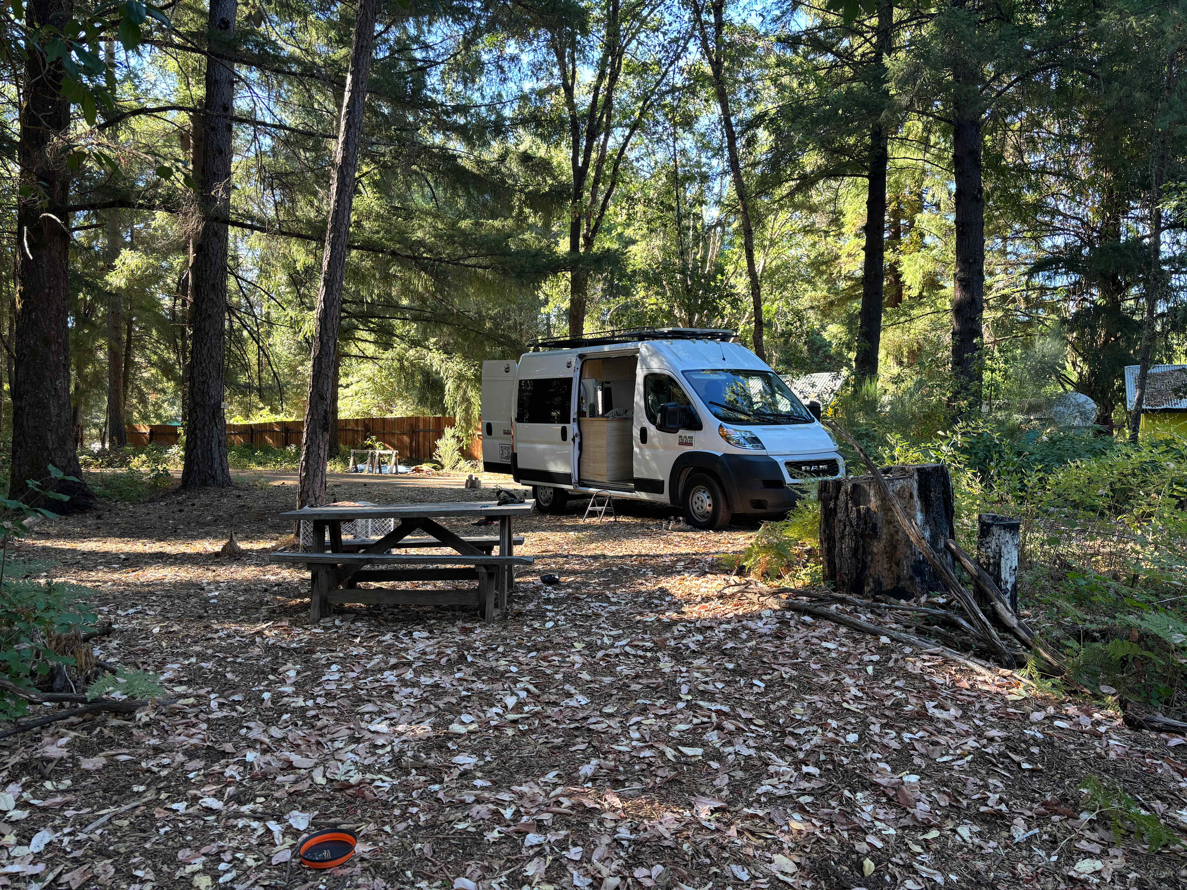 Lucky Penny Laytonville