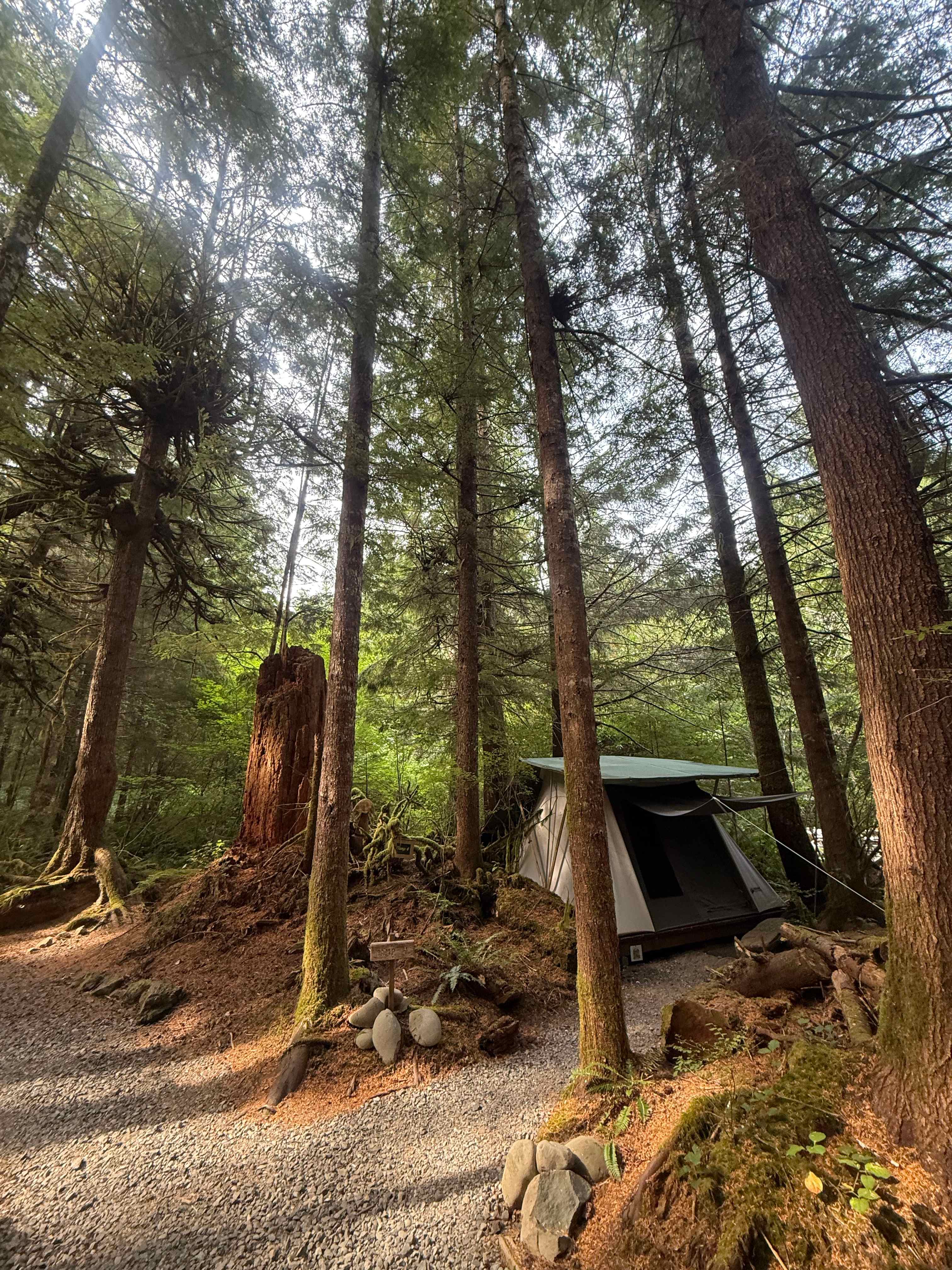 sol duc rainforest retreat