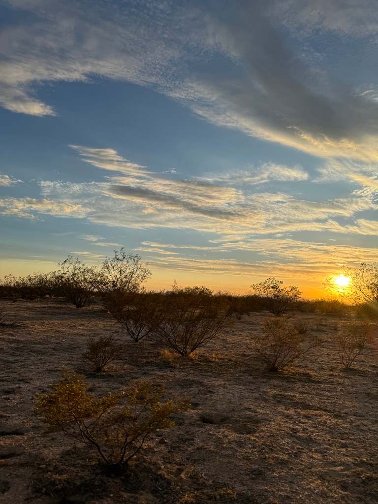 Desert Stargazers Dream