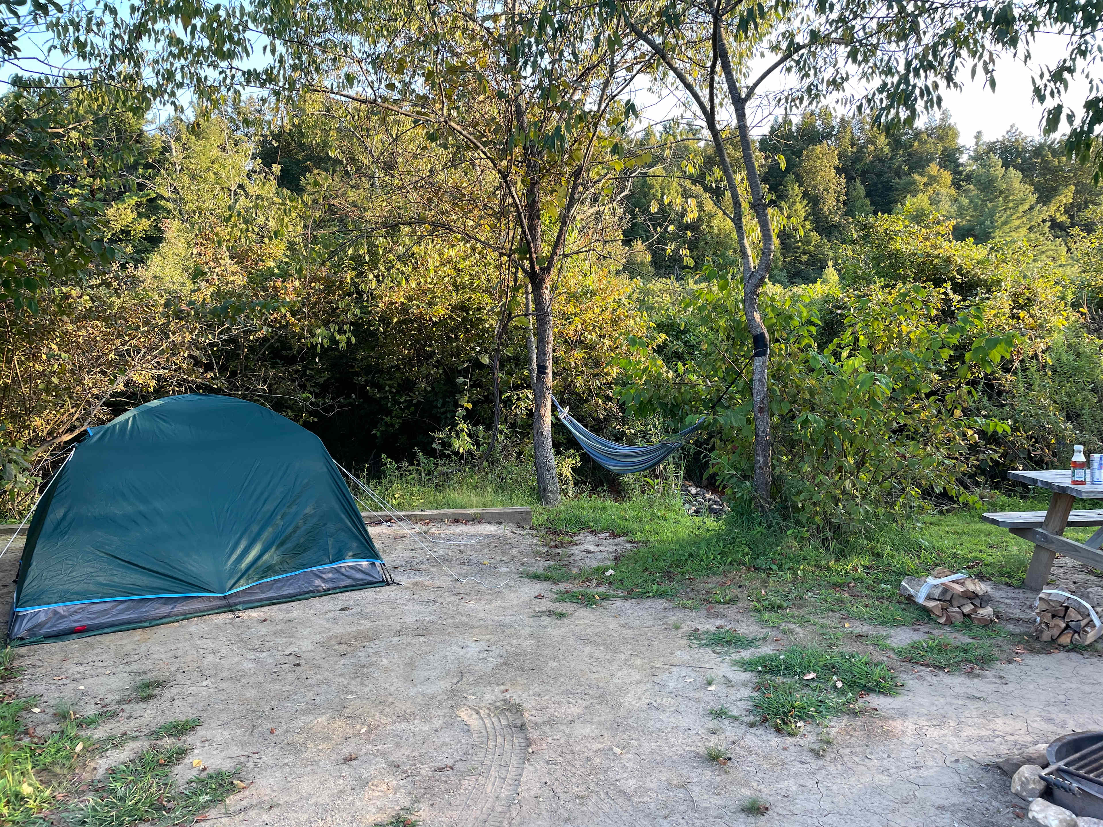 Site 4 with our tent right by the creek!