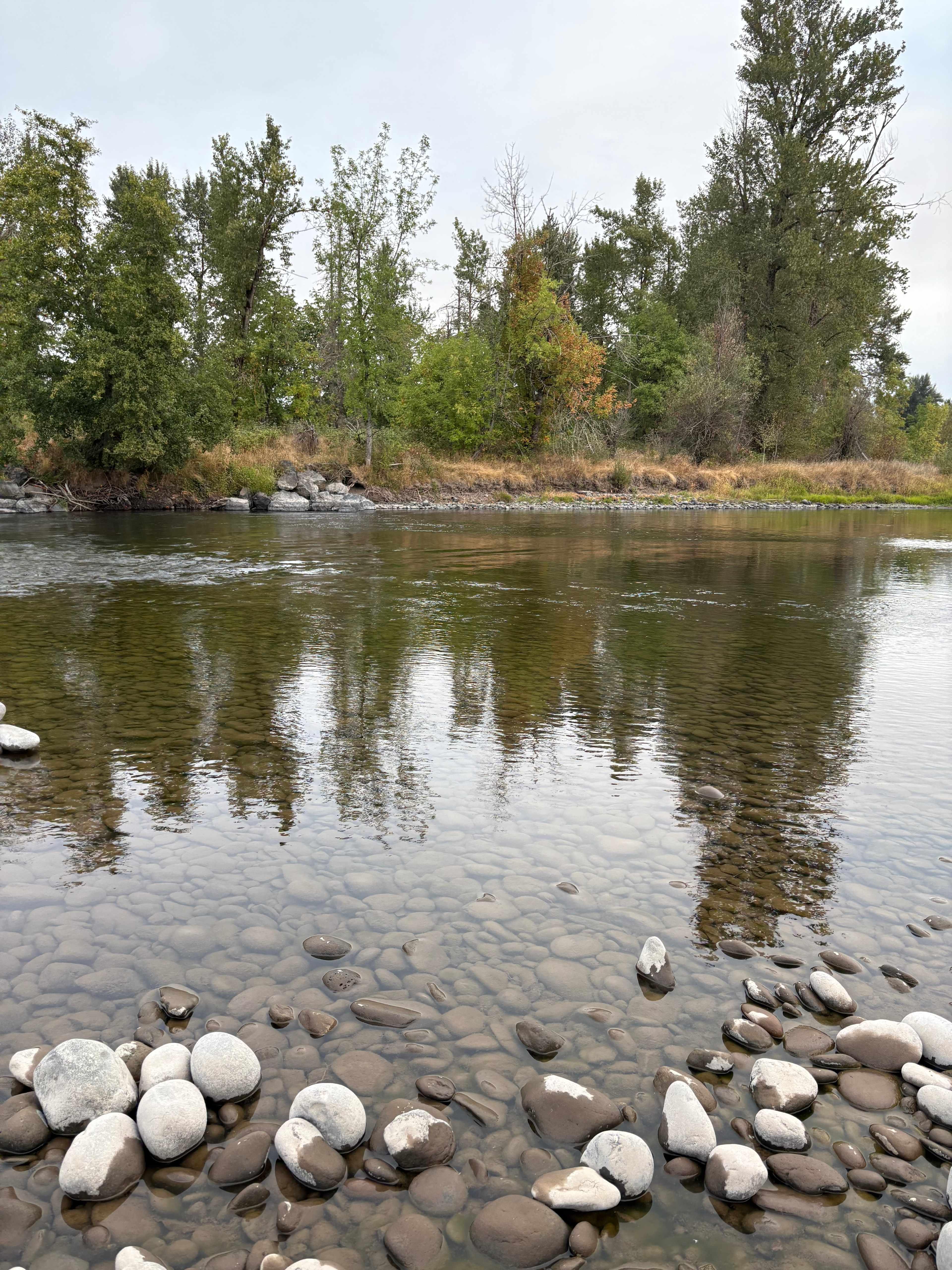 Glamping by North Santiam River