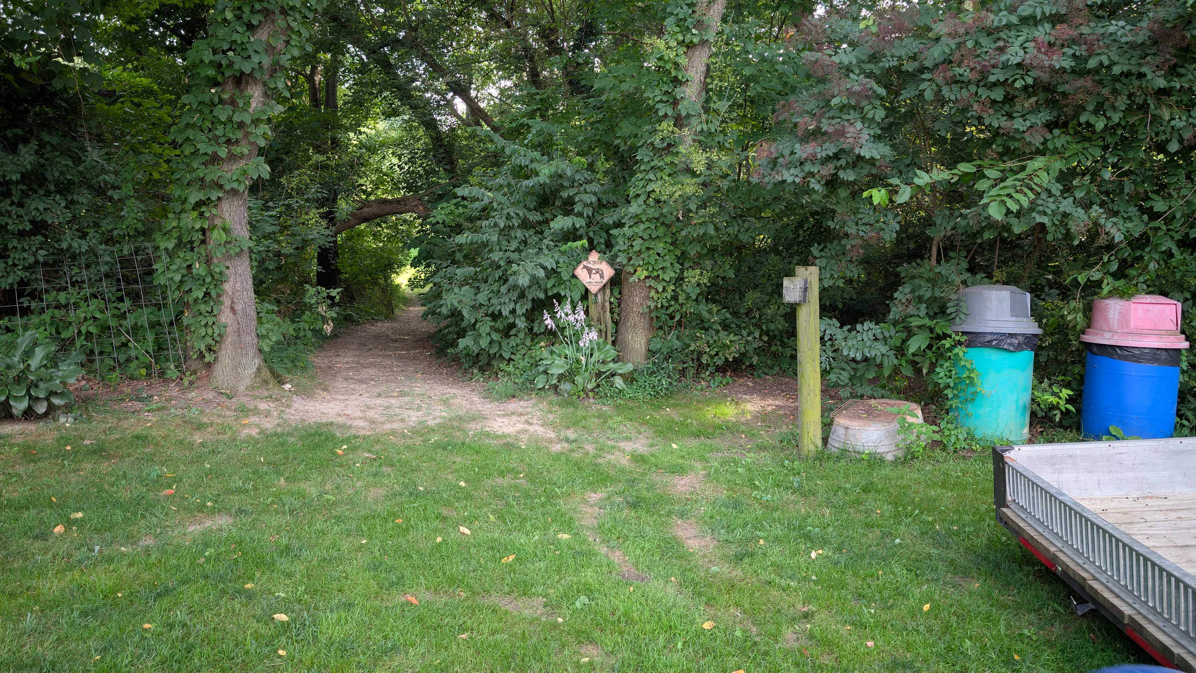 Picture of the site