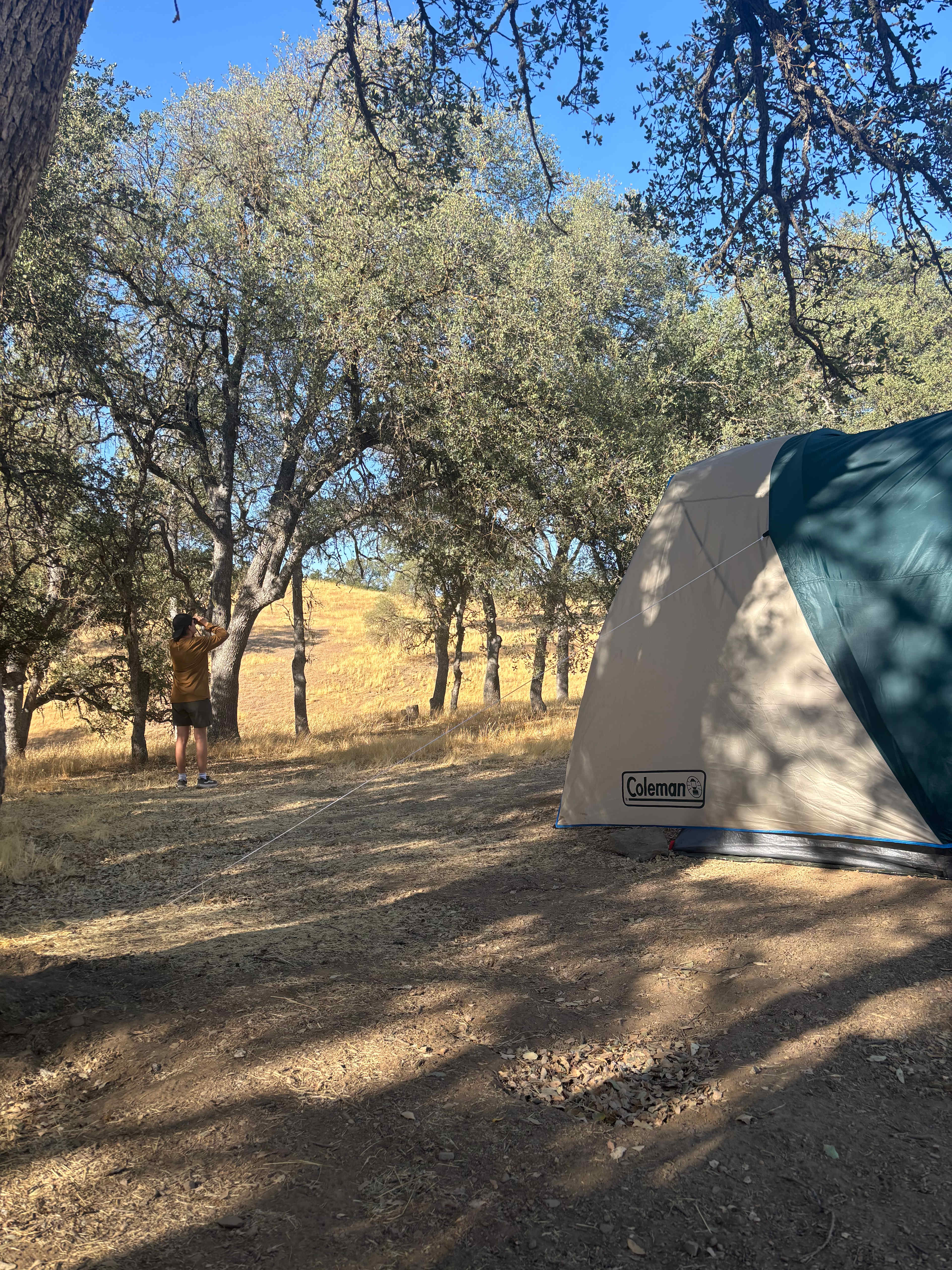 40min to Pinn/Song of the Ancients