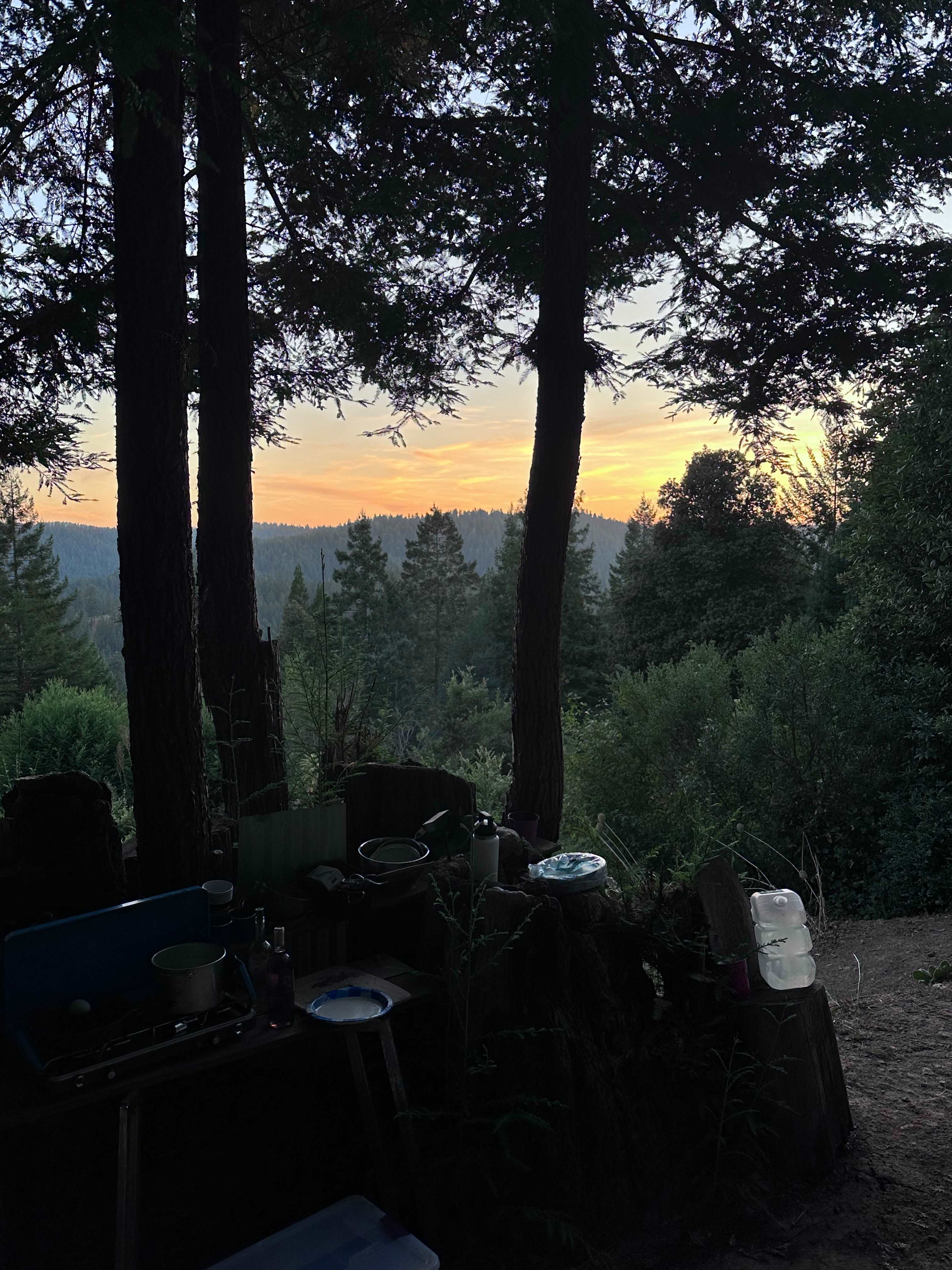 Comptche Matrix @ Sunny-land