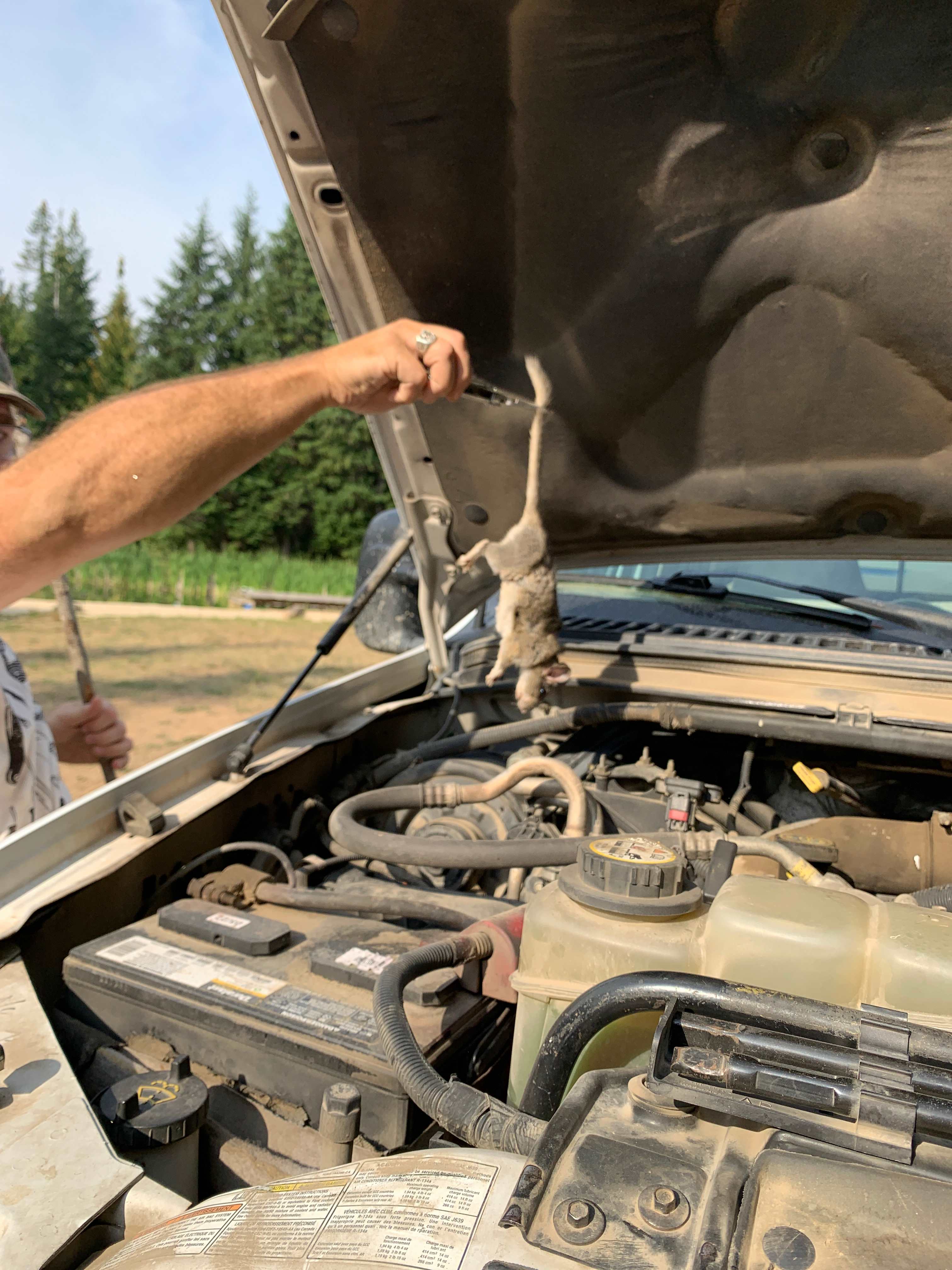 Prater mountain ranch