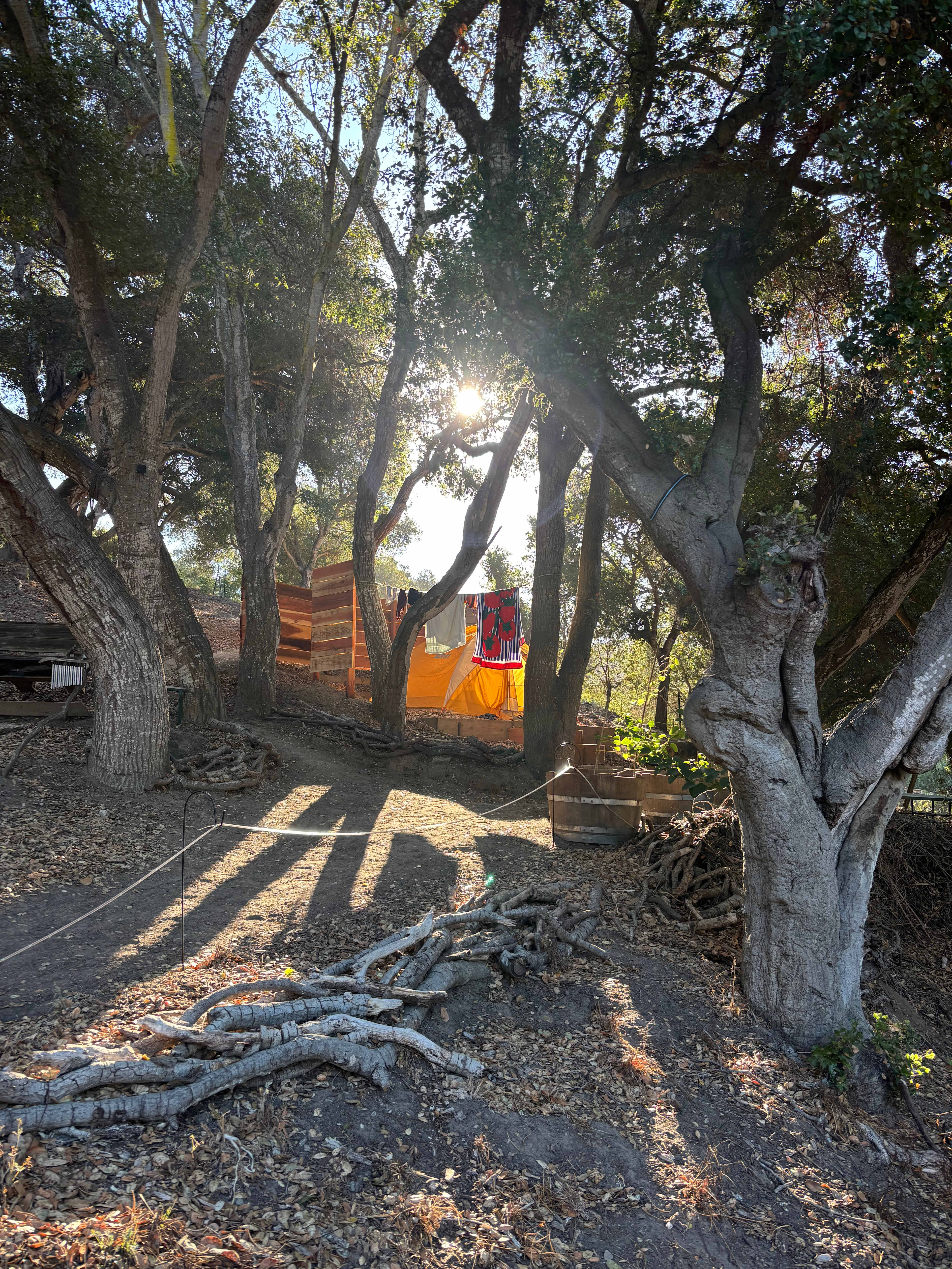 Vega Vortex-Gaia Health Retreat