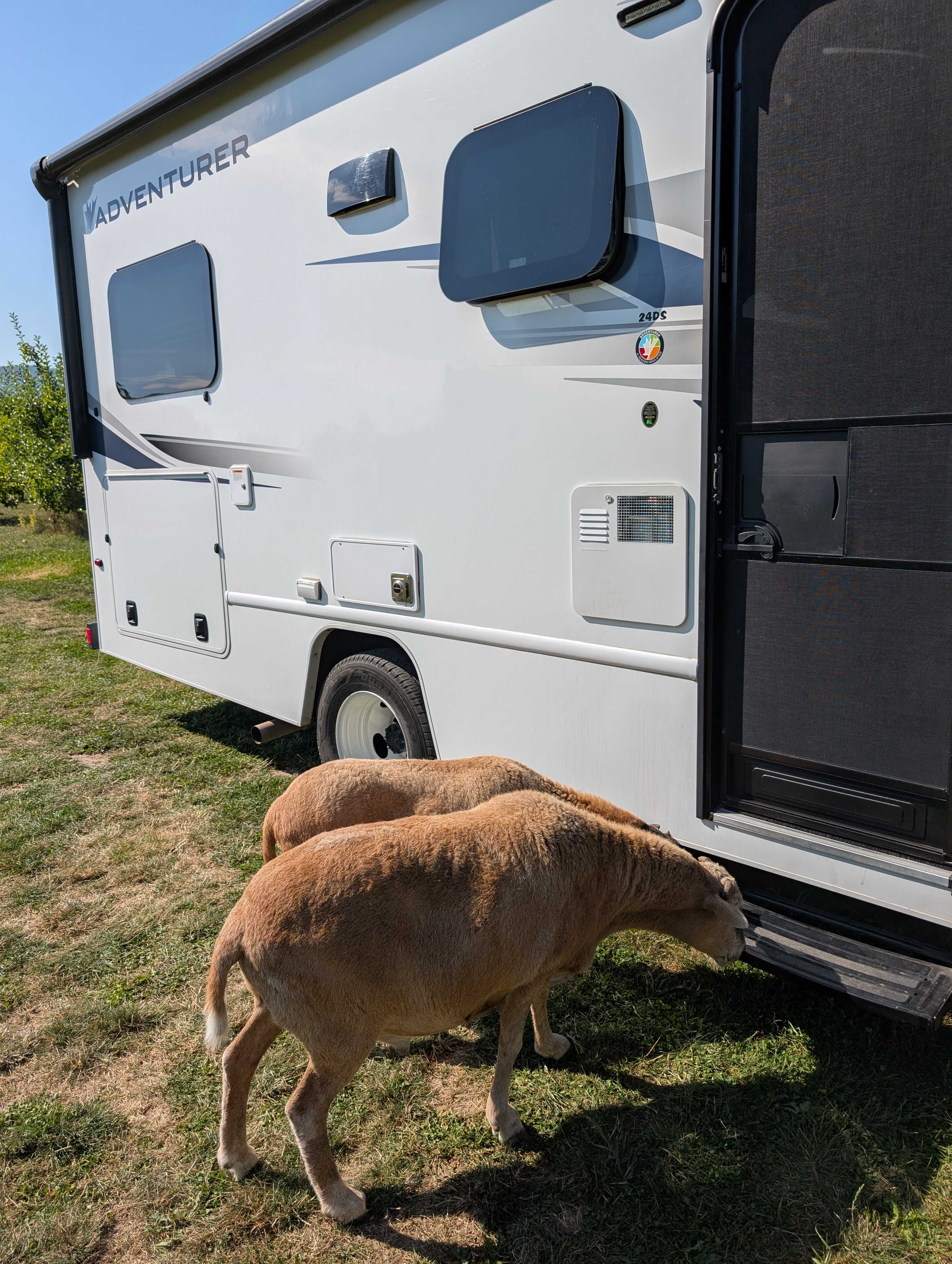 Northyards Cider Co.