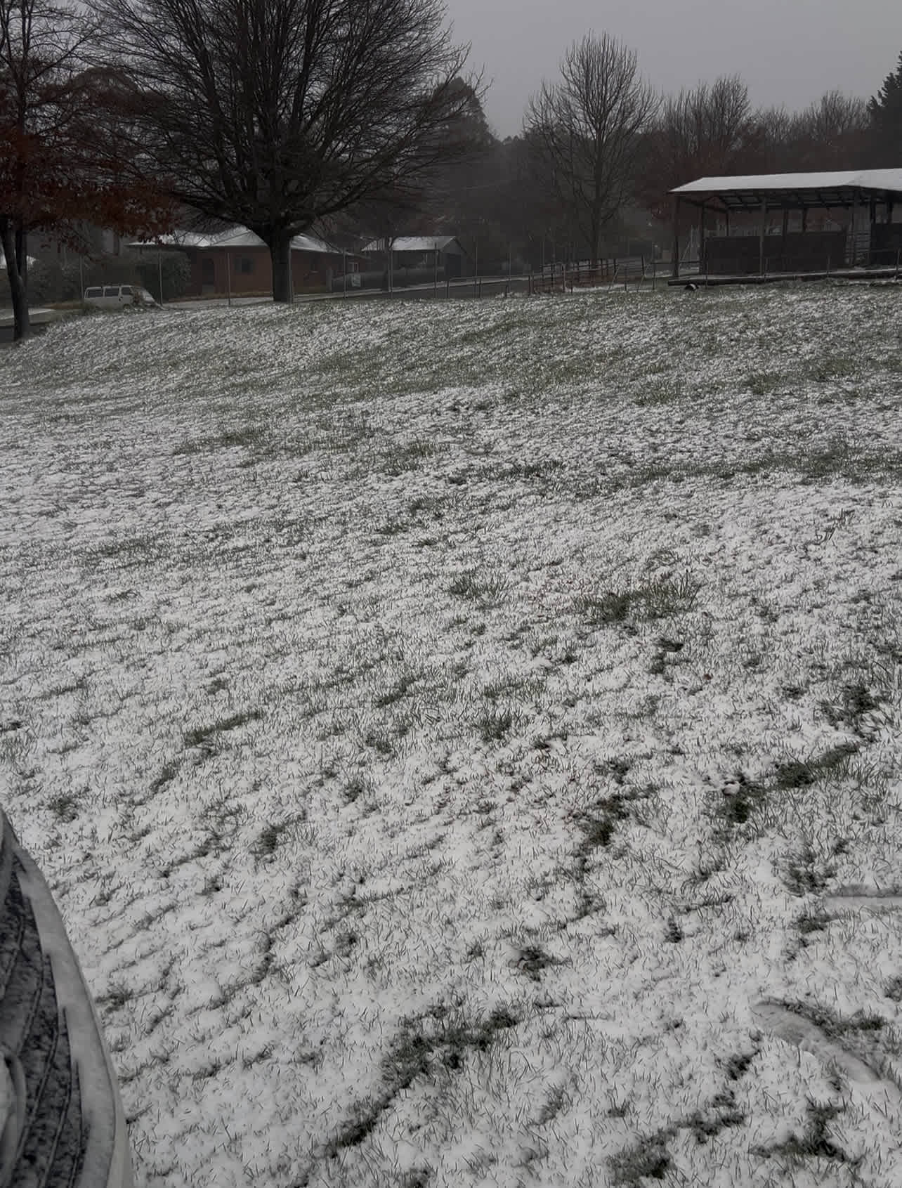 The Oberon Showground campground in the snow