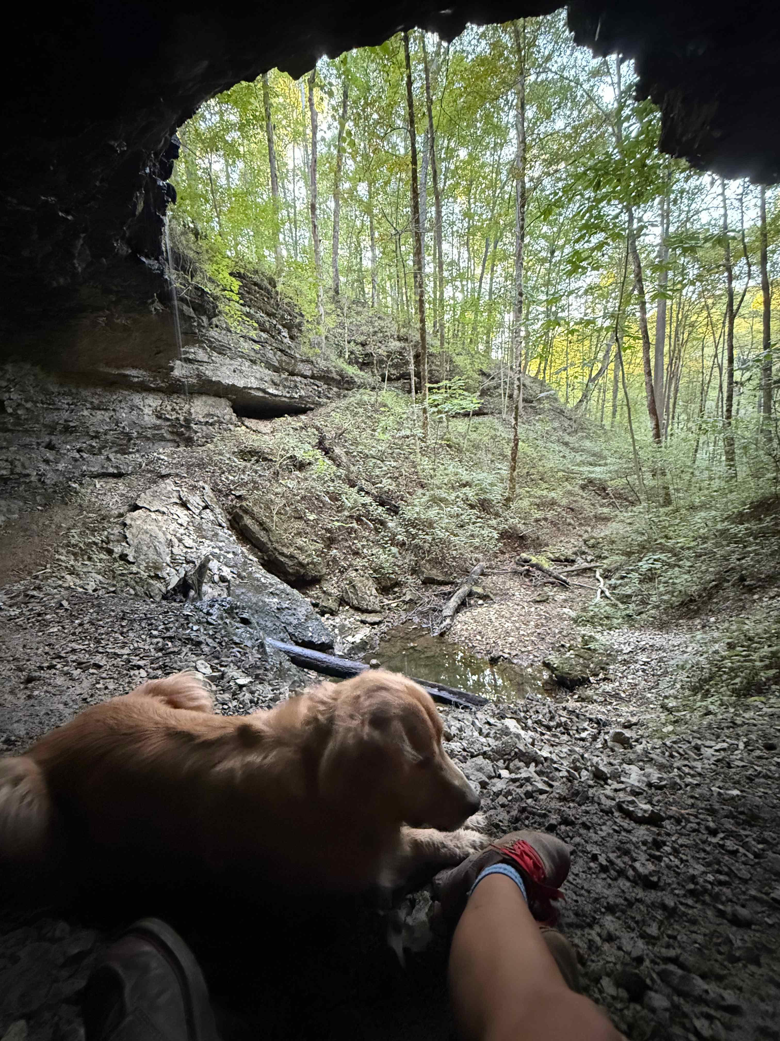 Belle and Beau Acres