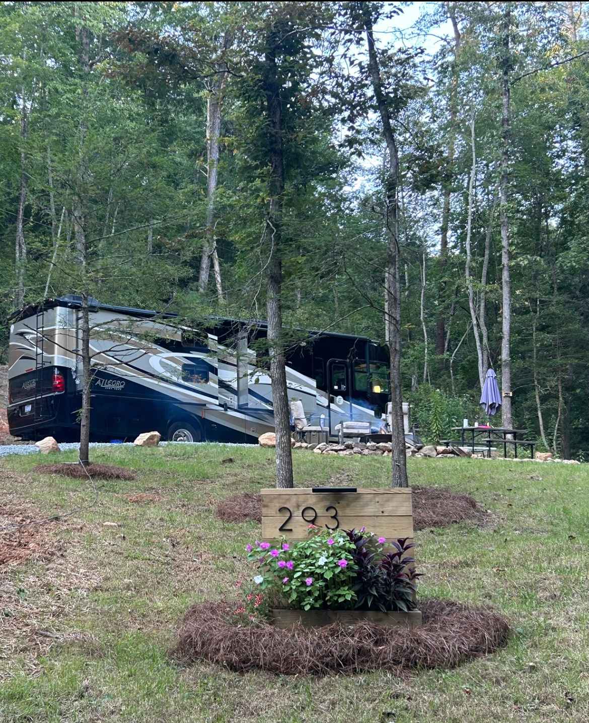 Deer Trails at Stone Mountain