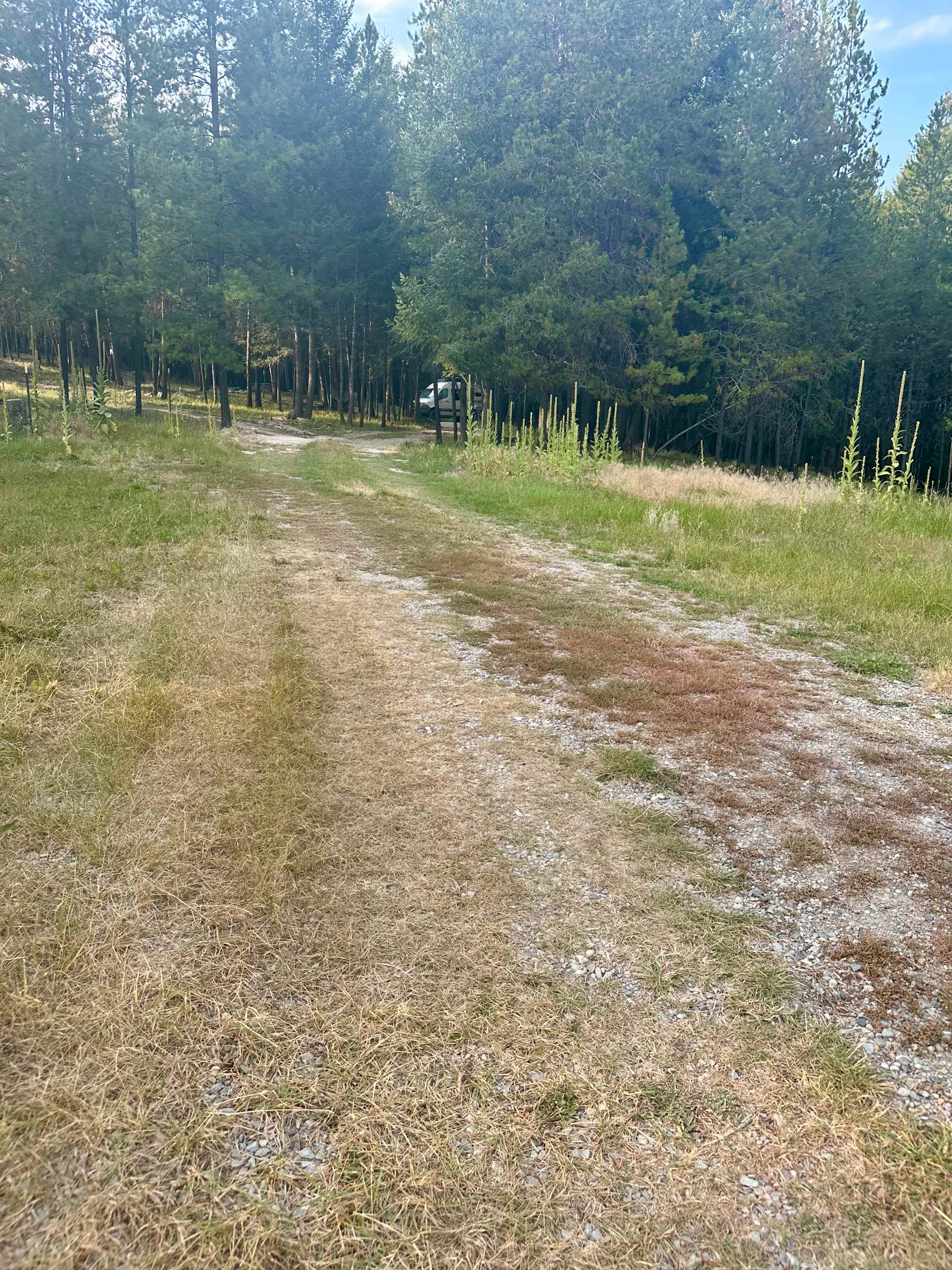 Heritage Cabin Property