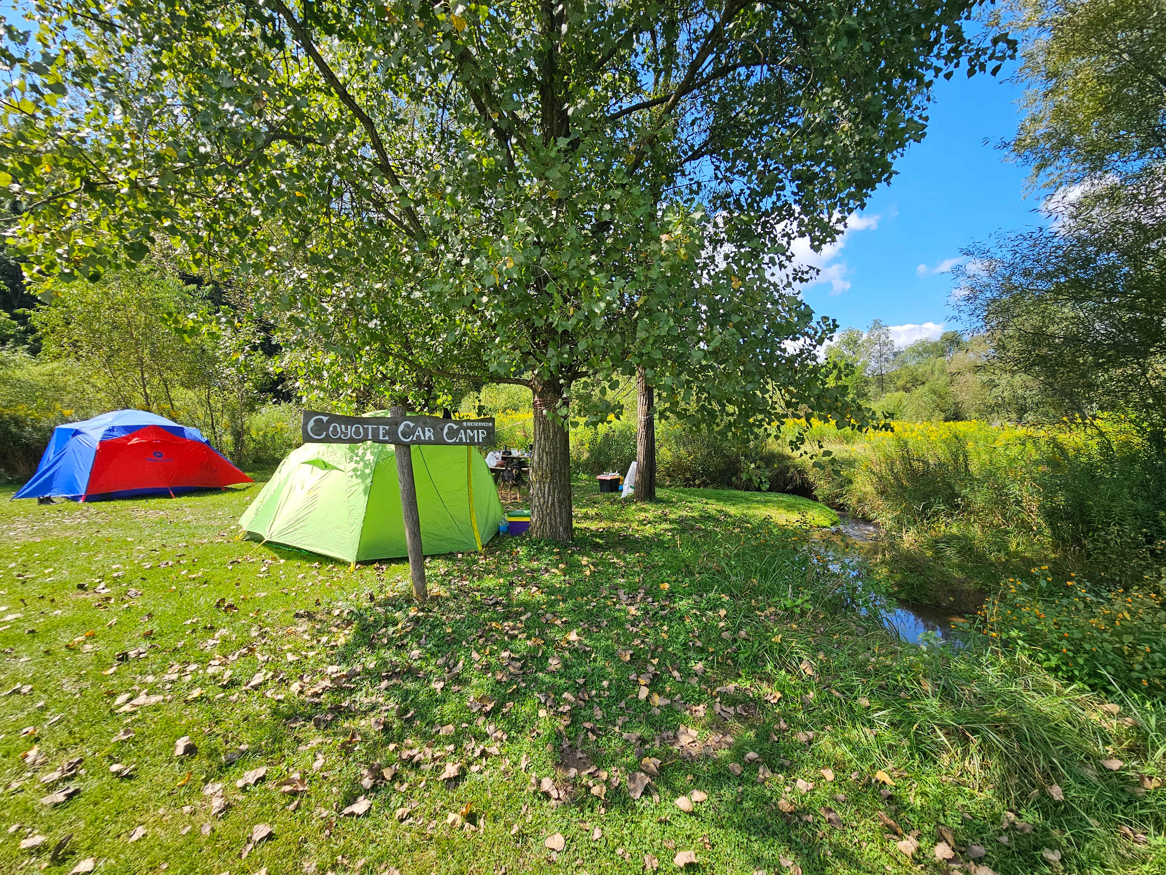 🦫 Flutterby 🦋 Farm 👩🏽‍🌾