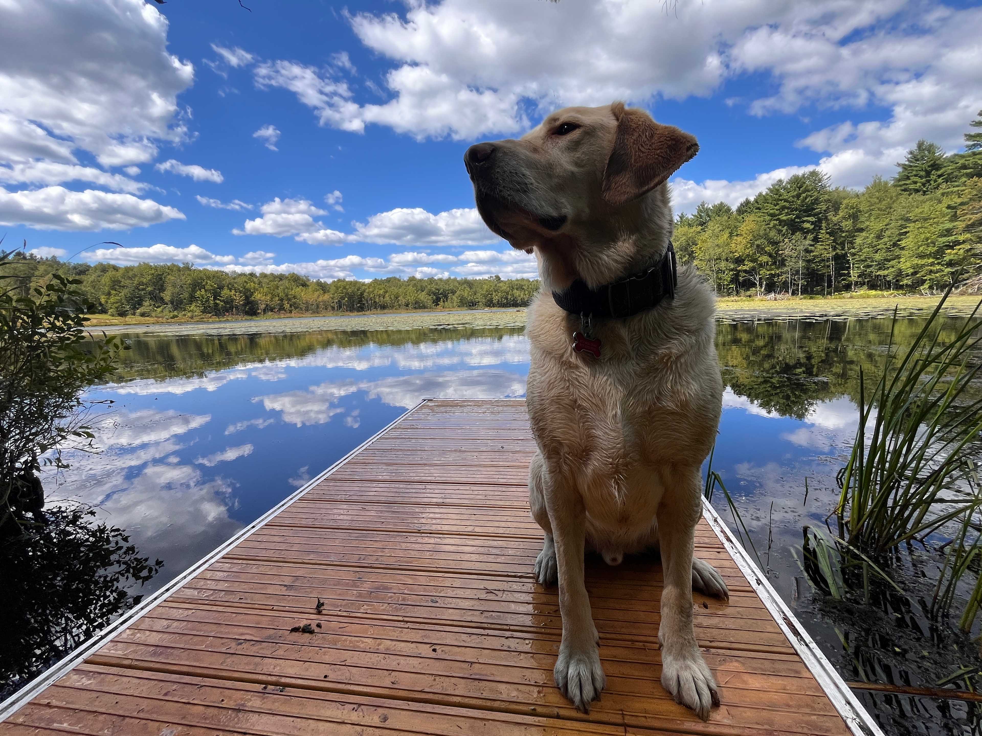 The Dam House At Beaver Pond