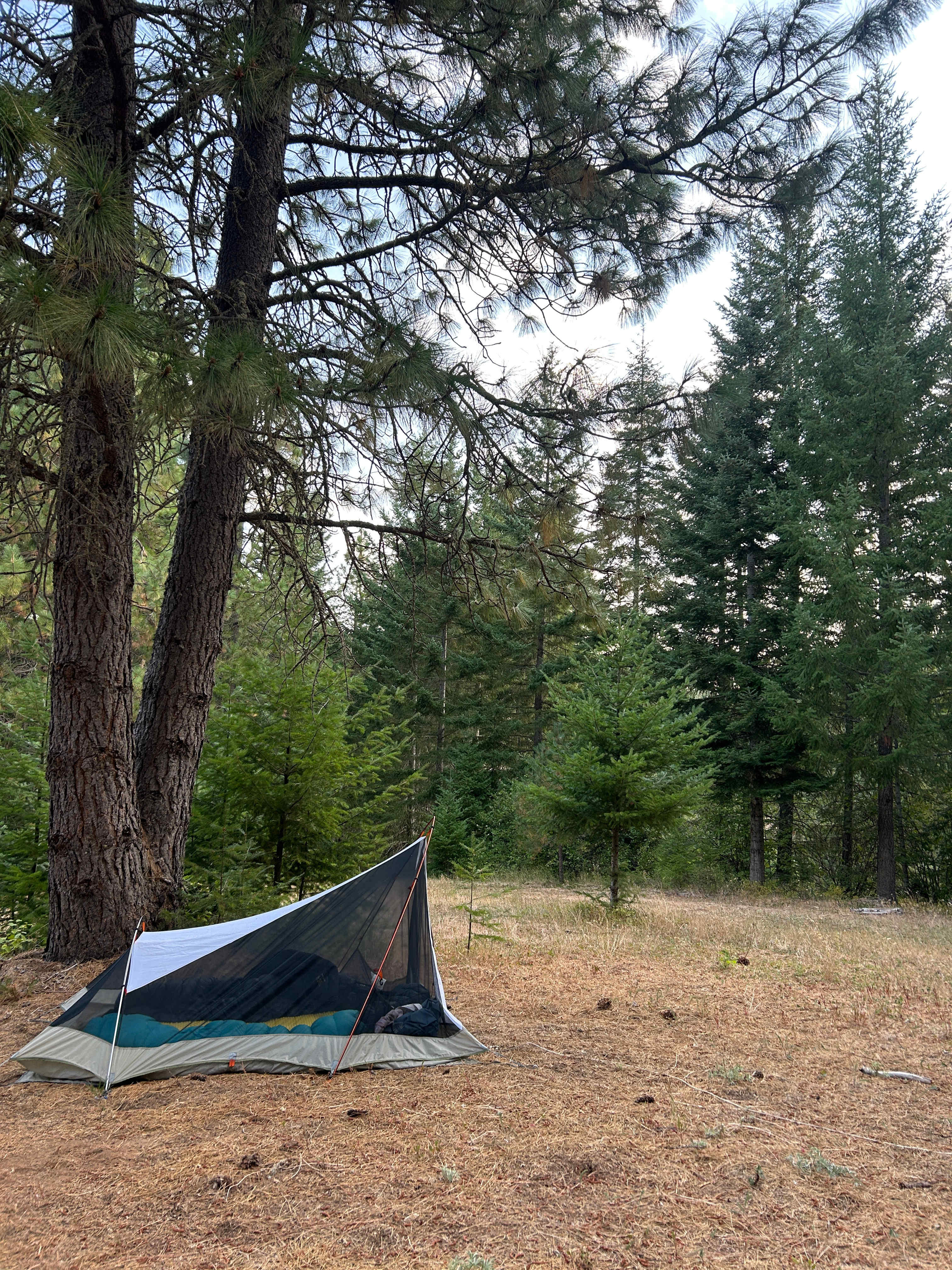 Eight Four Eight Camp