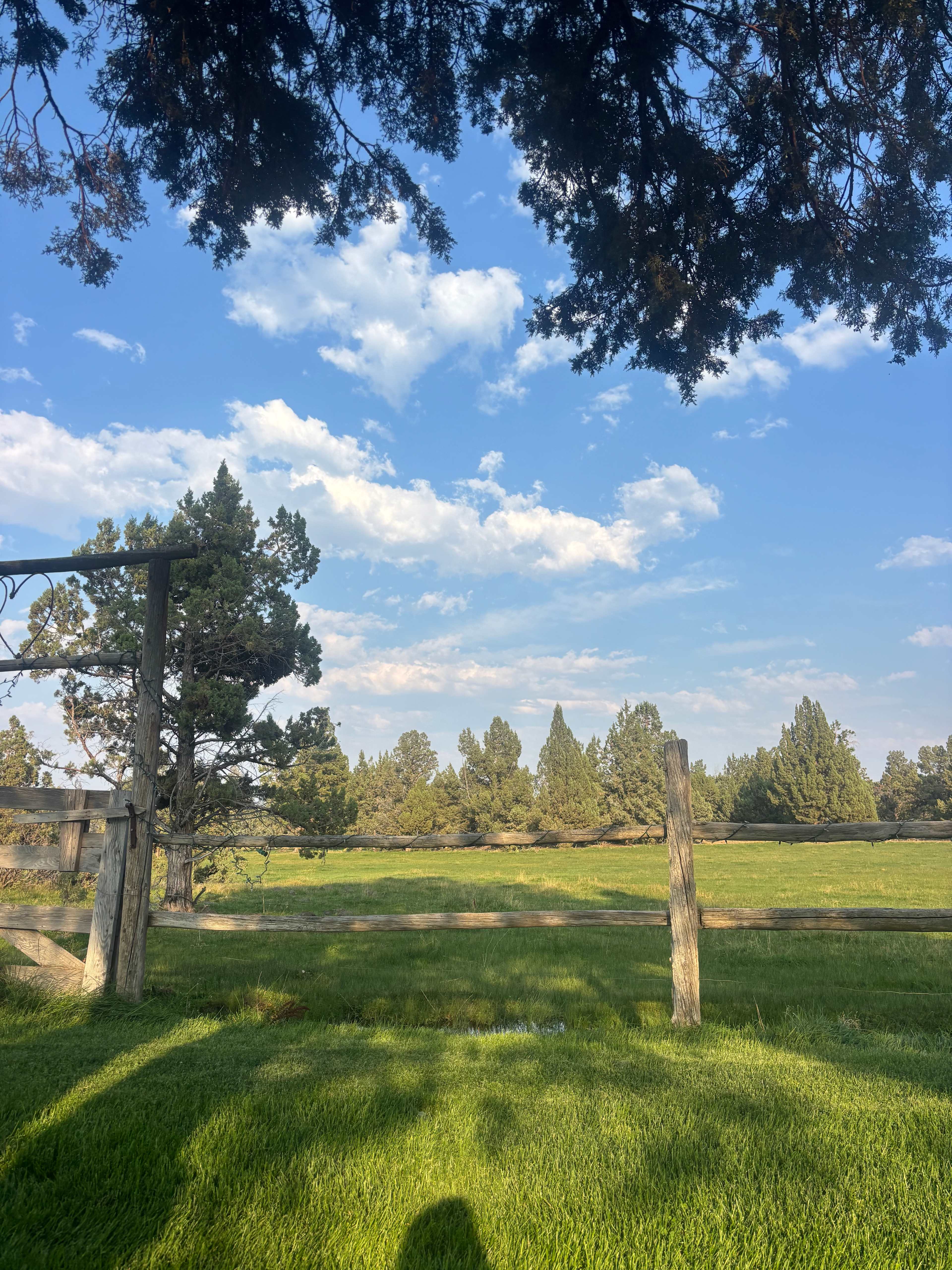 Working Ranch just outside Bend