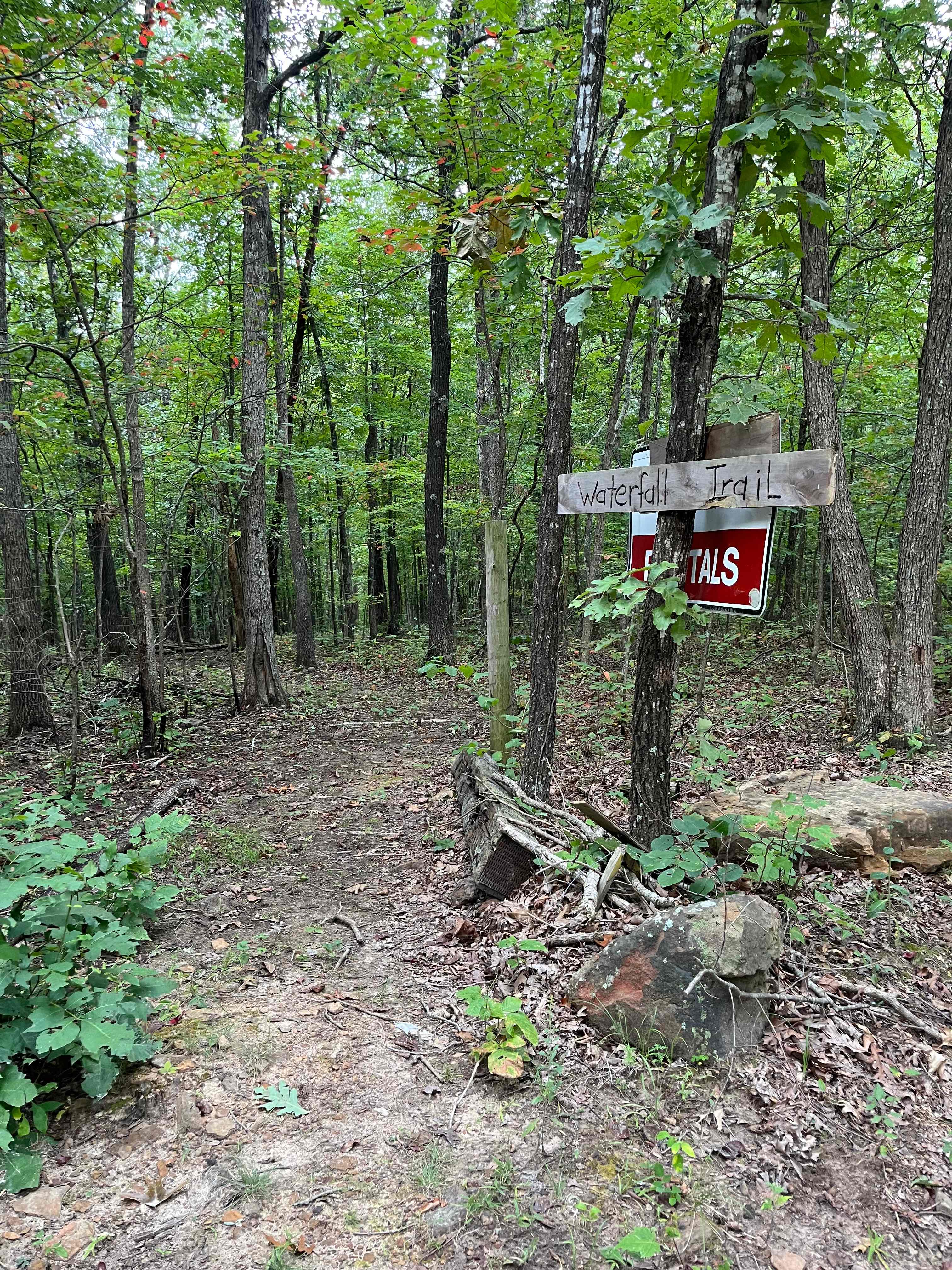 Secluded Camp near Buffalo River