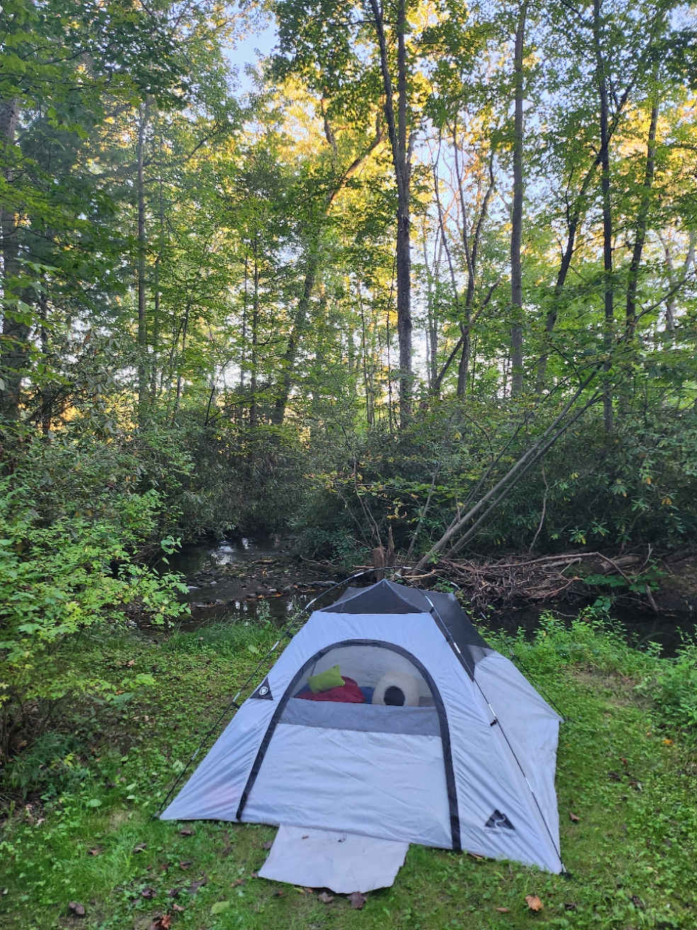 Creek is just behind the tent so we fell asleep to water and cricket sounds