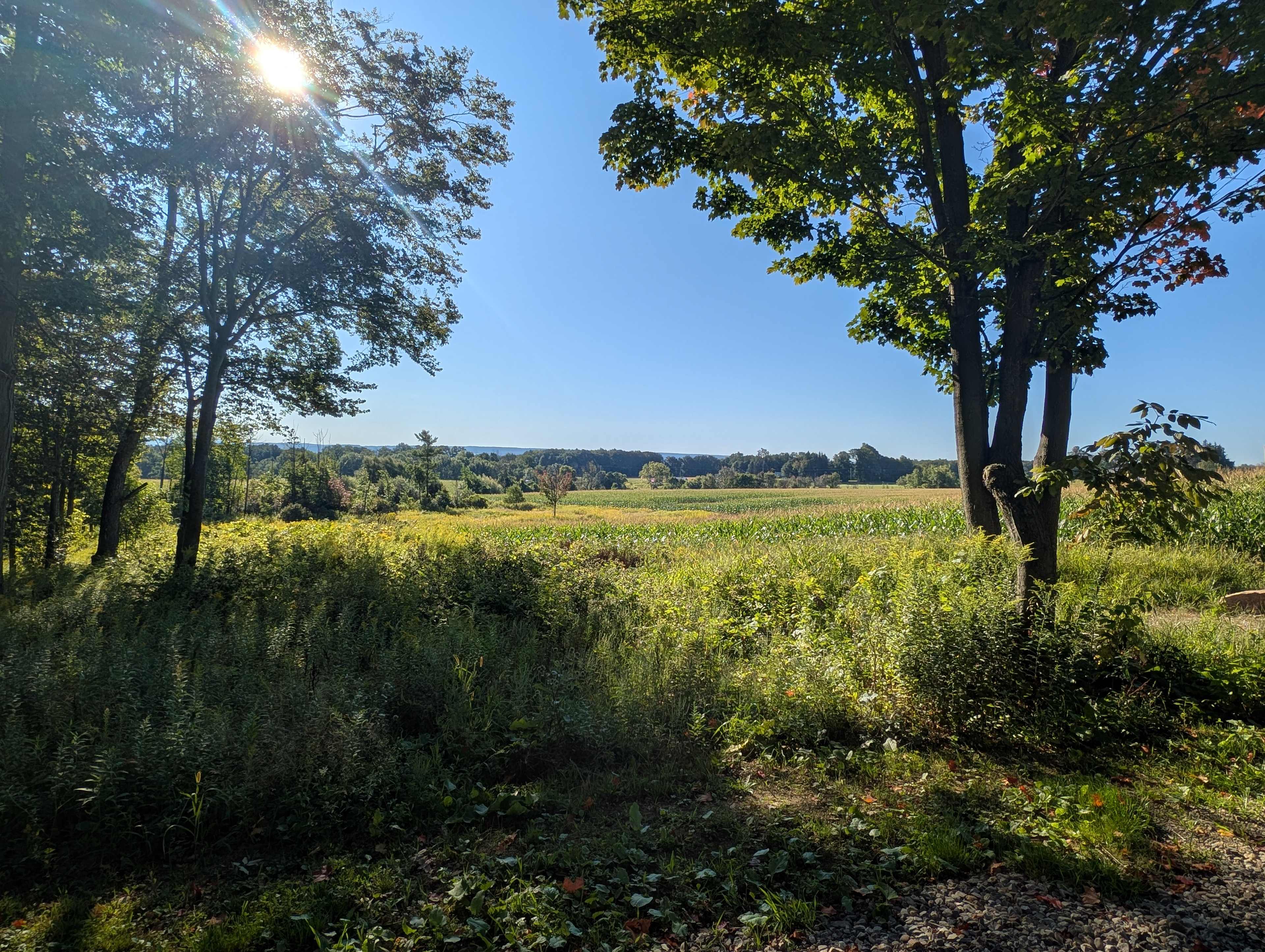 McCormick Farms Base Camp
